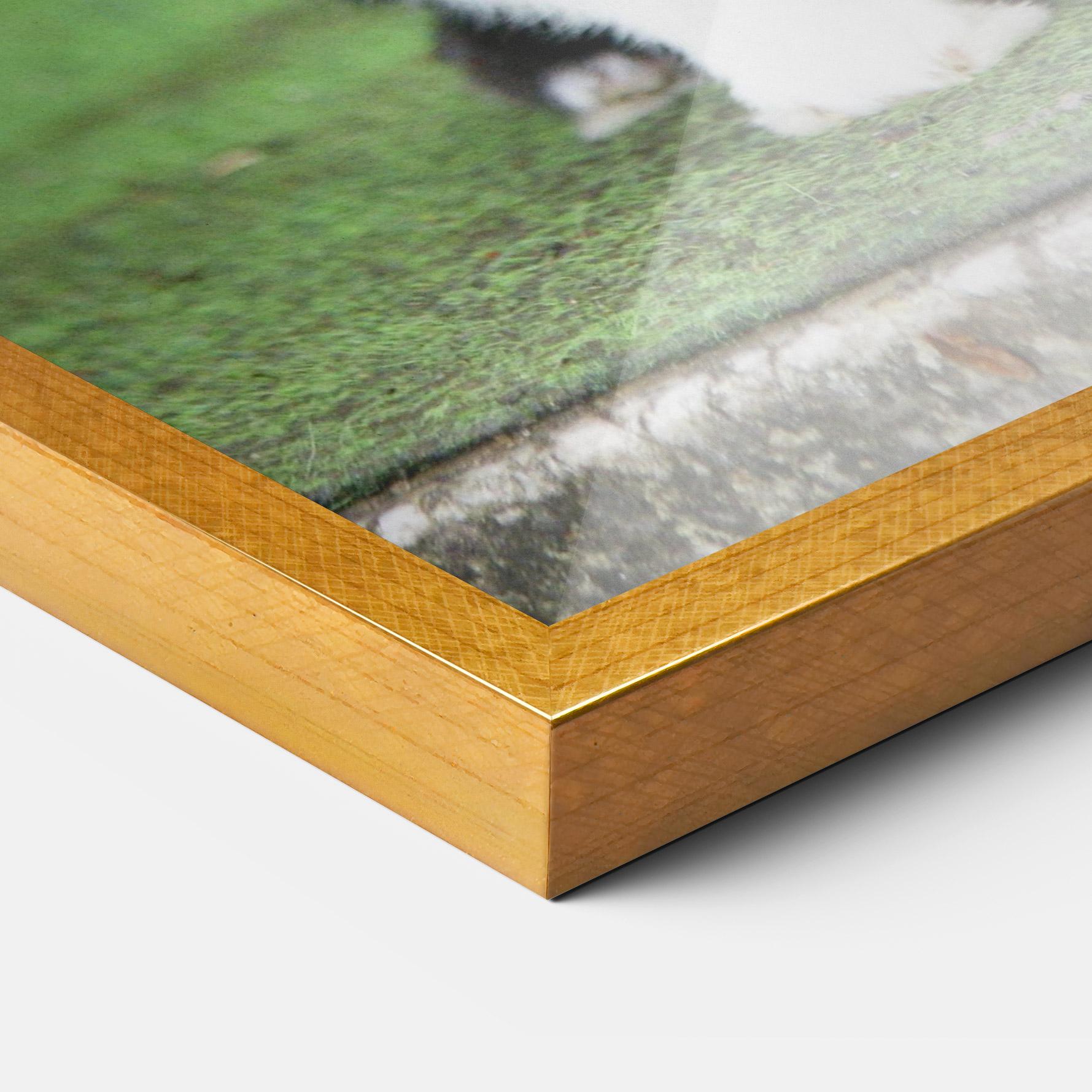 Keretezett Poszter Black Ear Rabbit mockup 3