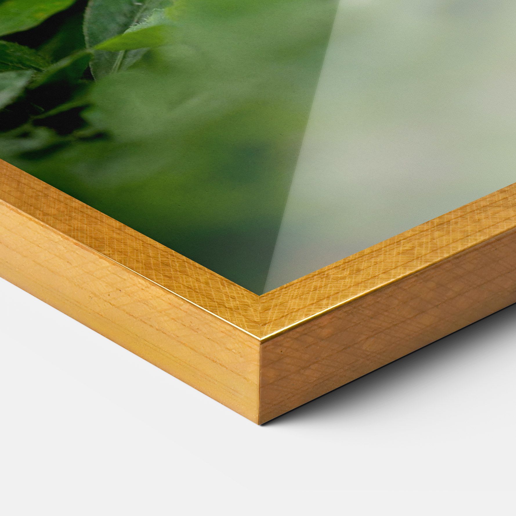 White Black Bunny mockup 3