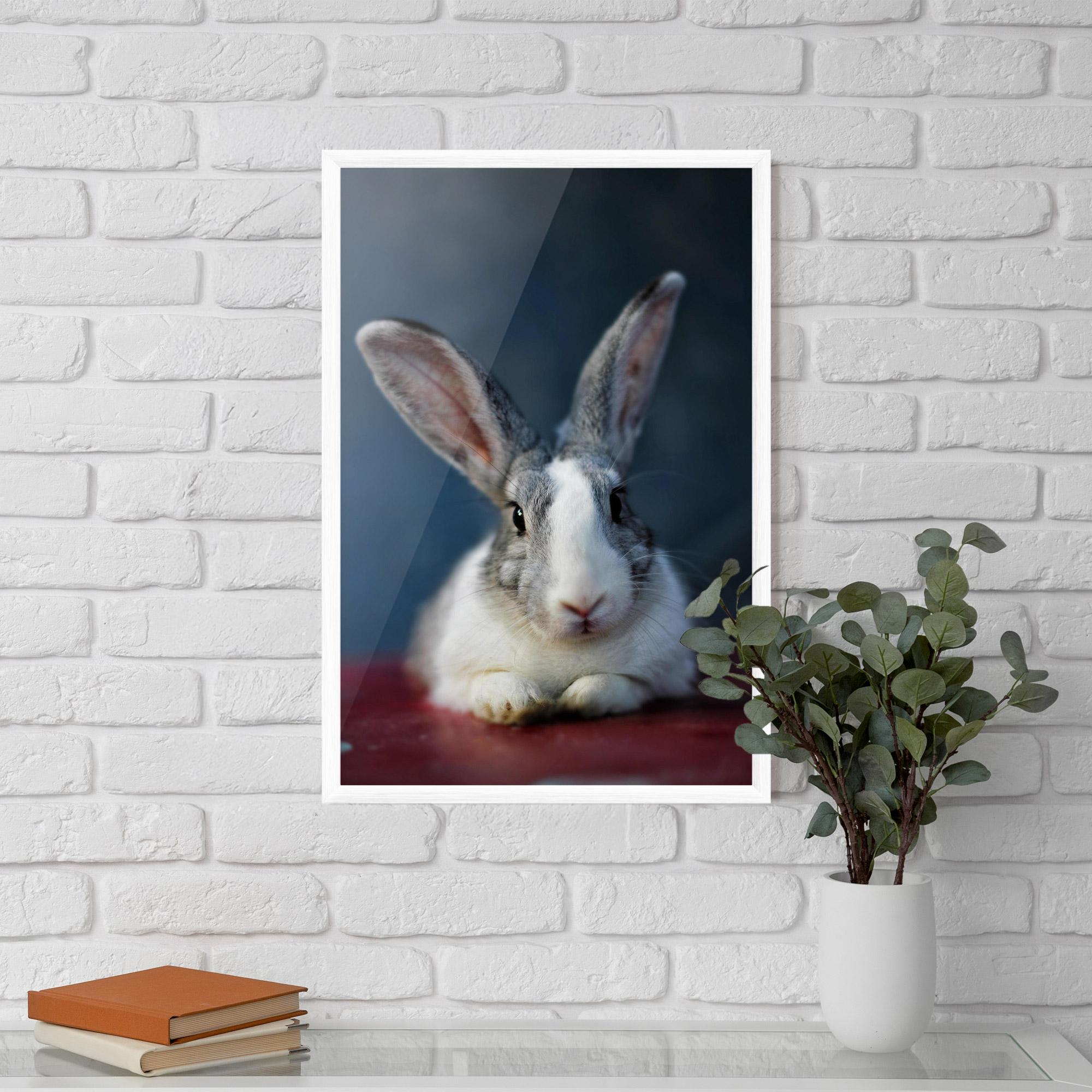 Keretezett Poszter Cute Grey Bunny mockup 5