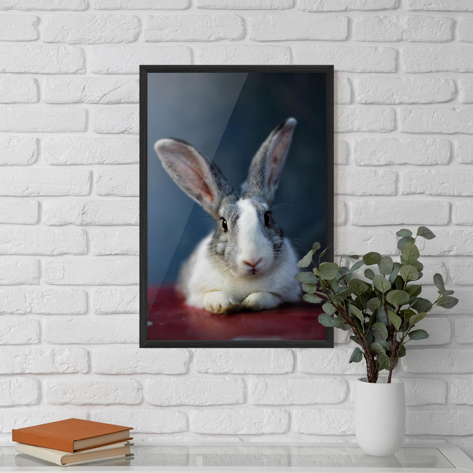 Keretezett Poszter Cute Grey Bunny mockup 5