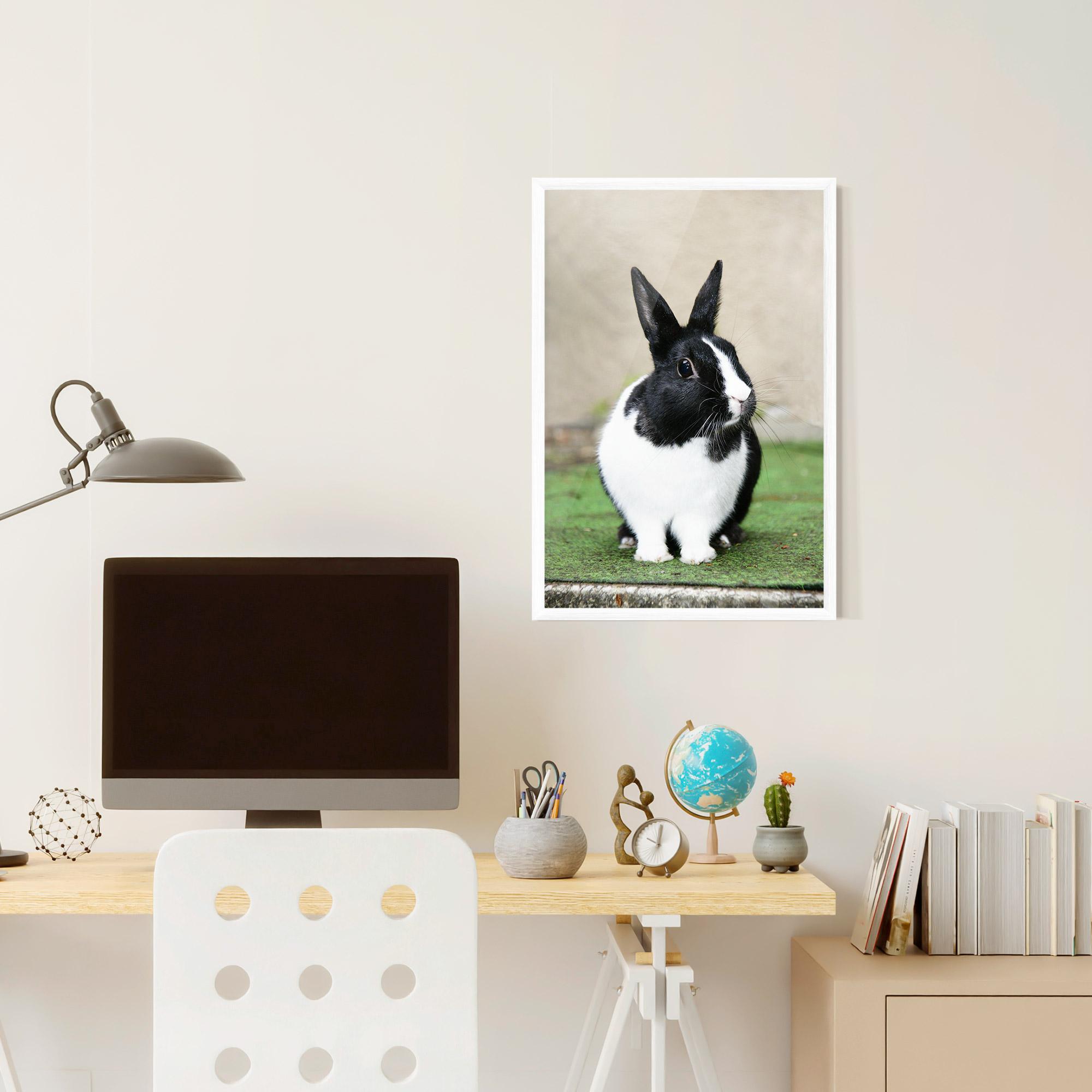 Keretezett Poszter Black Ear Rabbit mockup 6