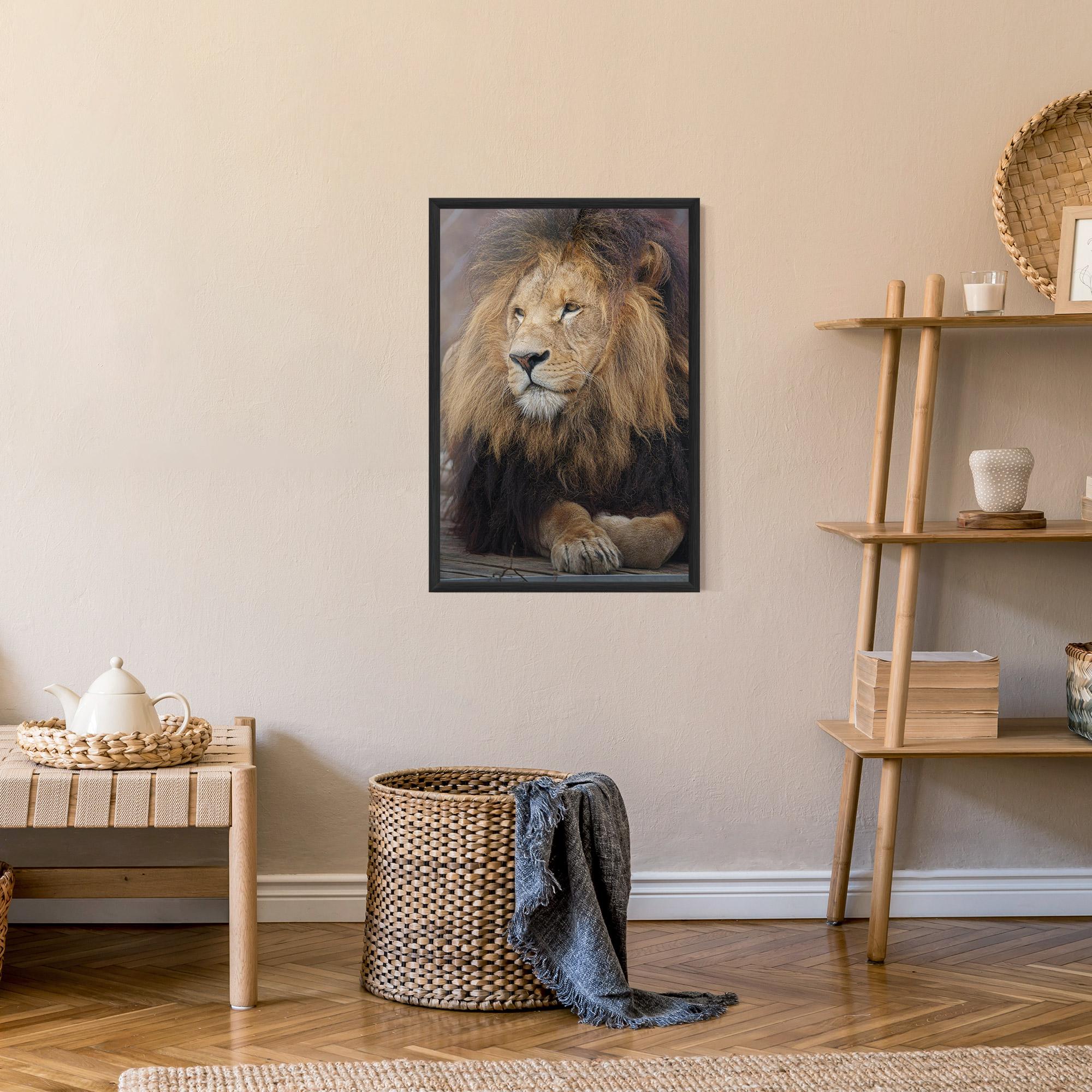 Keretezett Poszter Lion Chilling mockup 9