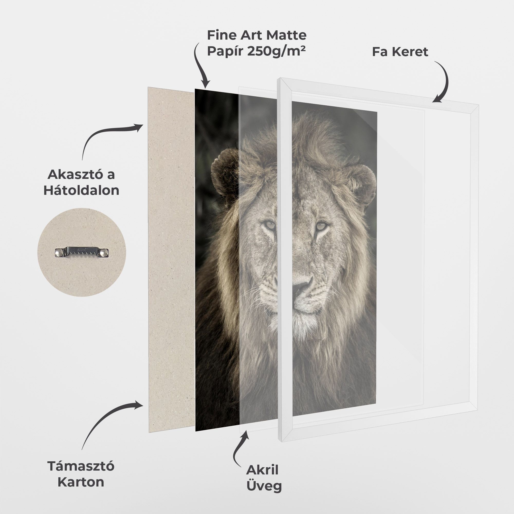 Lion Close Up mockup 1