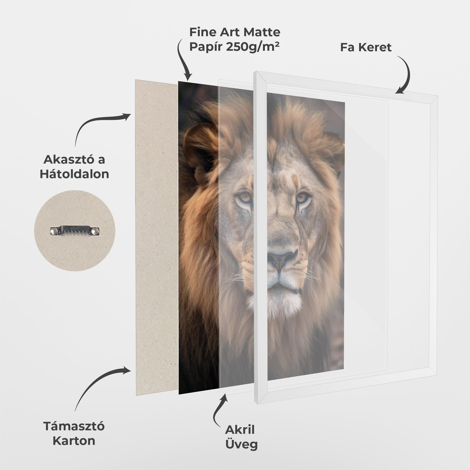 Keretezett Poszter Wild Lion View mockup 1