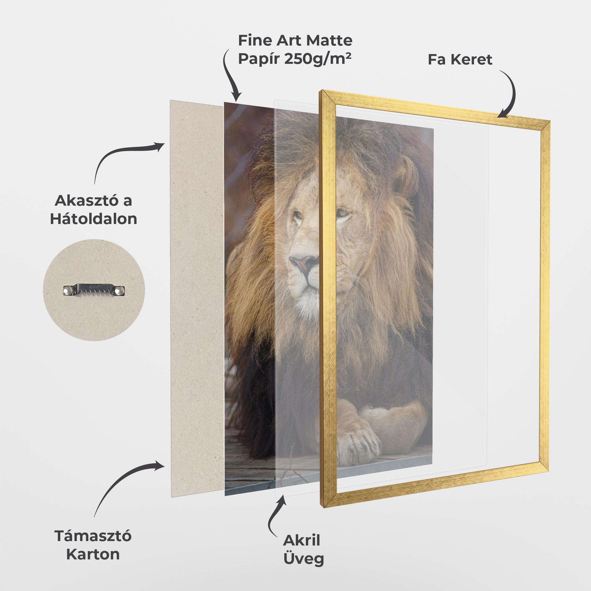 Keretezett Poszter Lion Chilling mockup 1