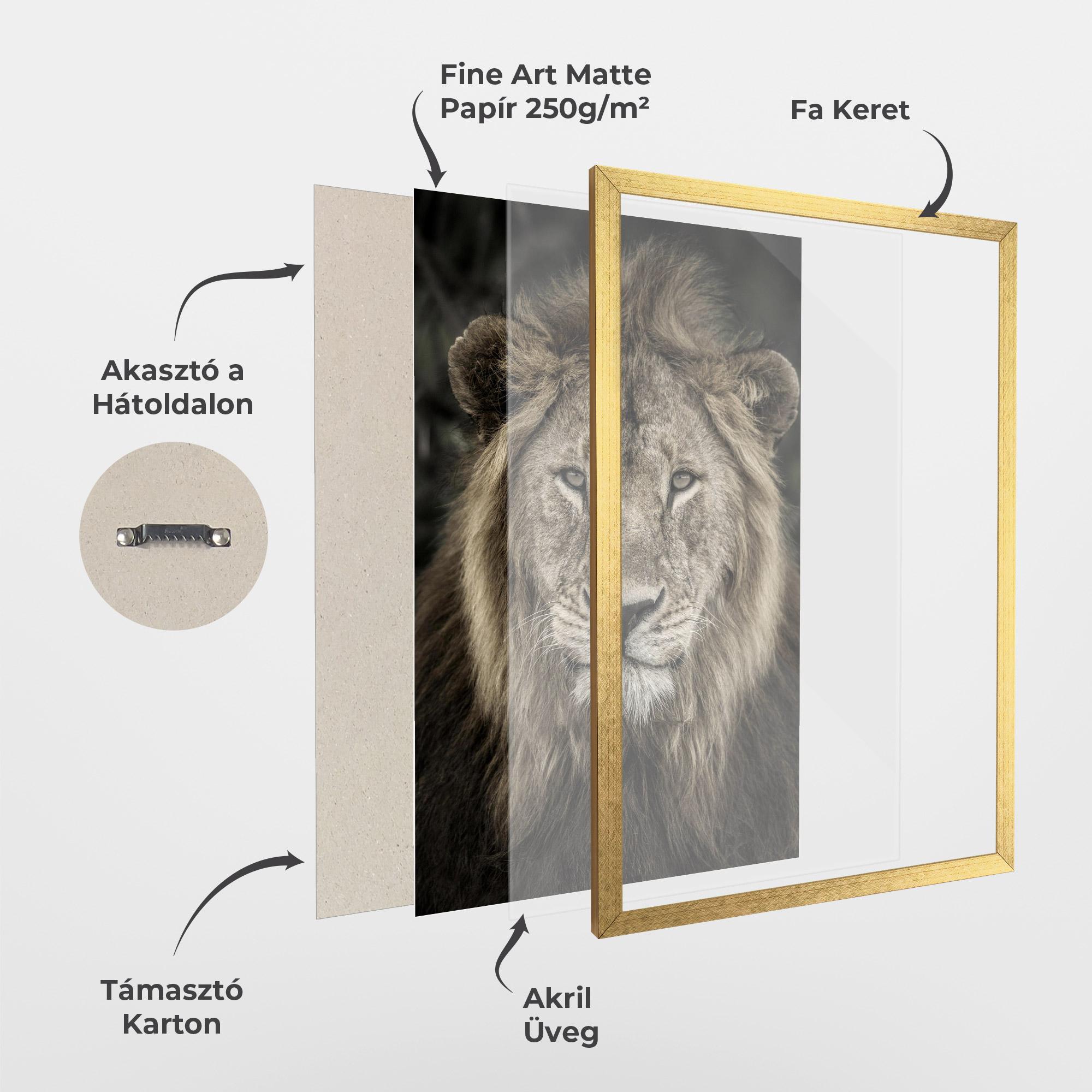 Keretezett Poszter Lion Close Up mockup 1
