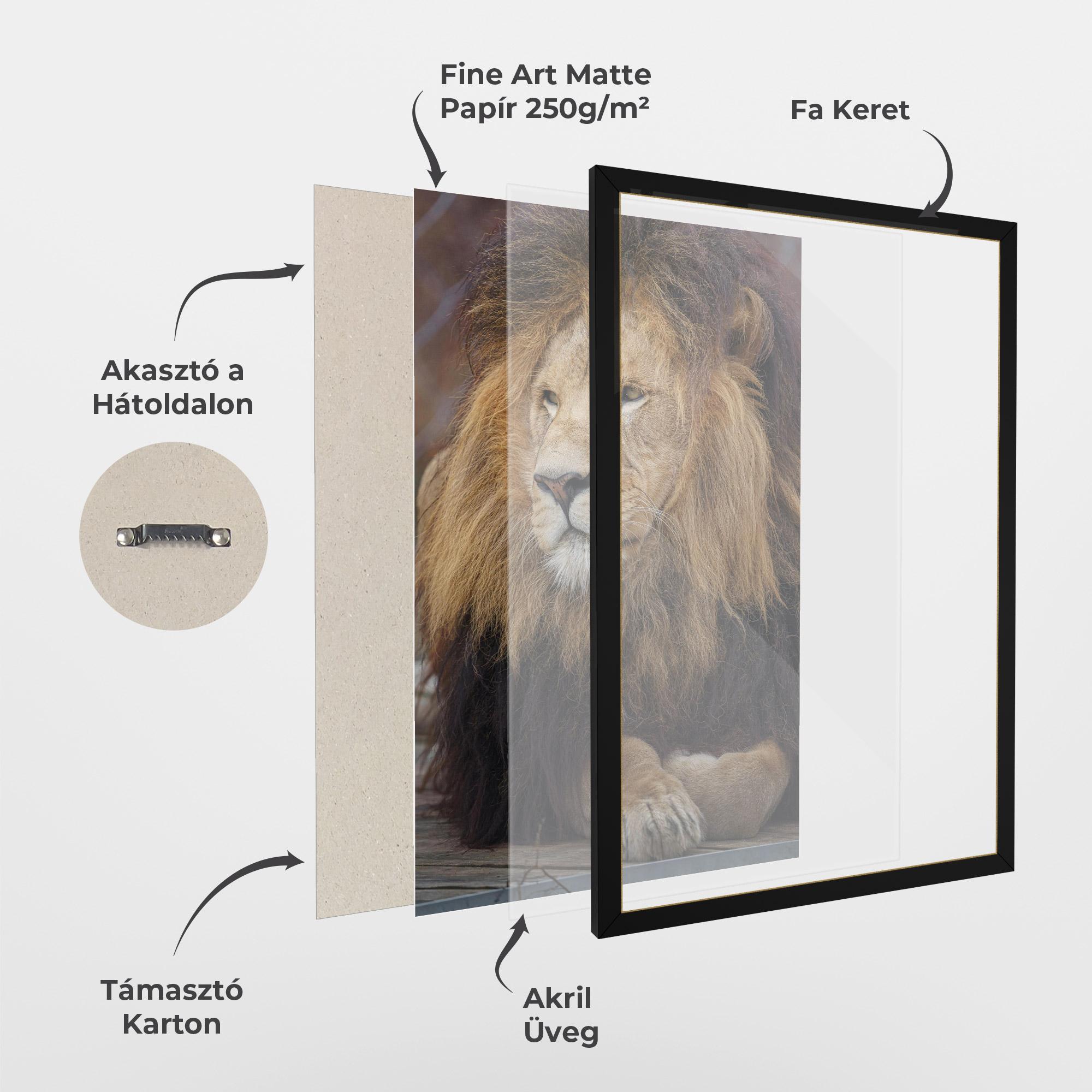 Keretezett Poszter Lion Chilling mockup 1