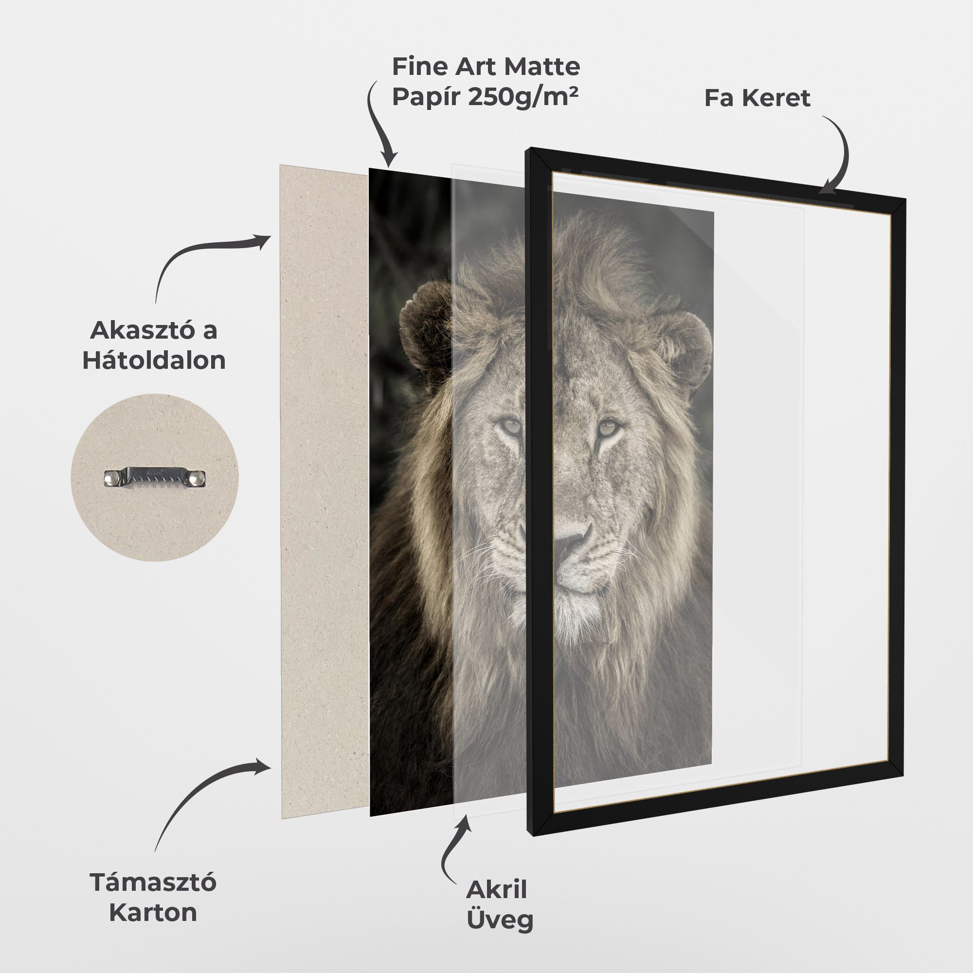 Lion Close Up mockup 1