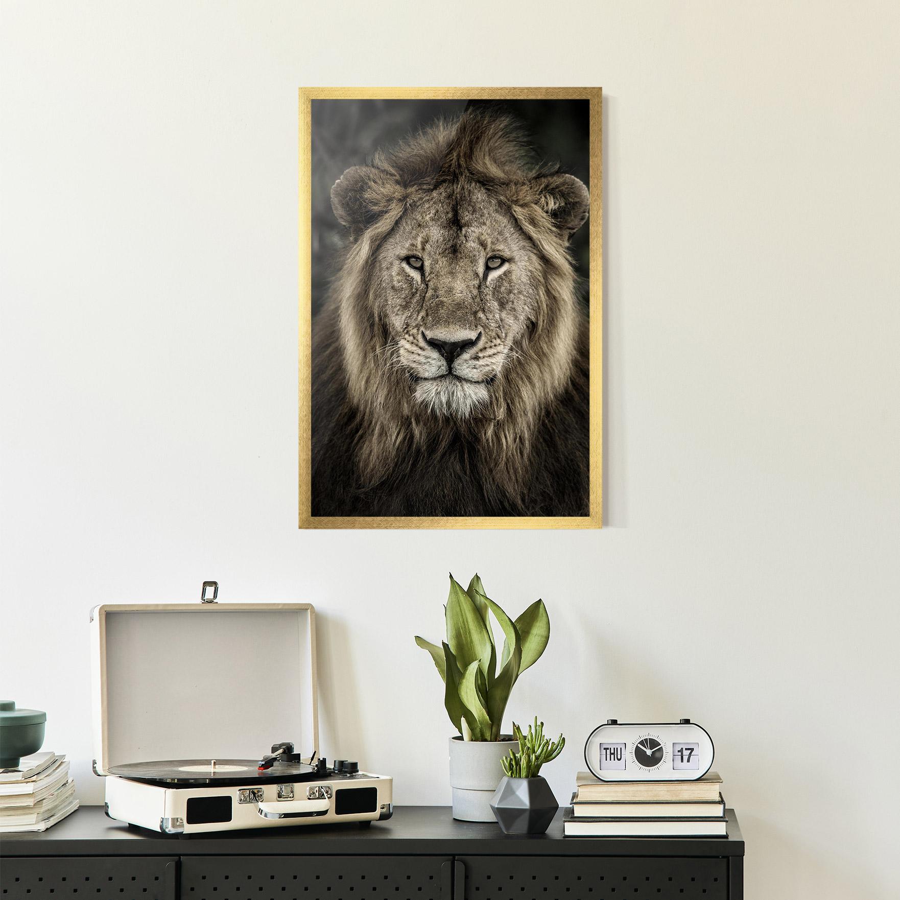 Keretezett Poszter Lion Close Up mockup 2
