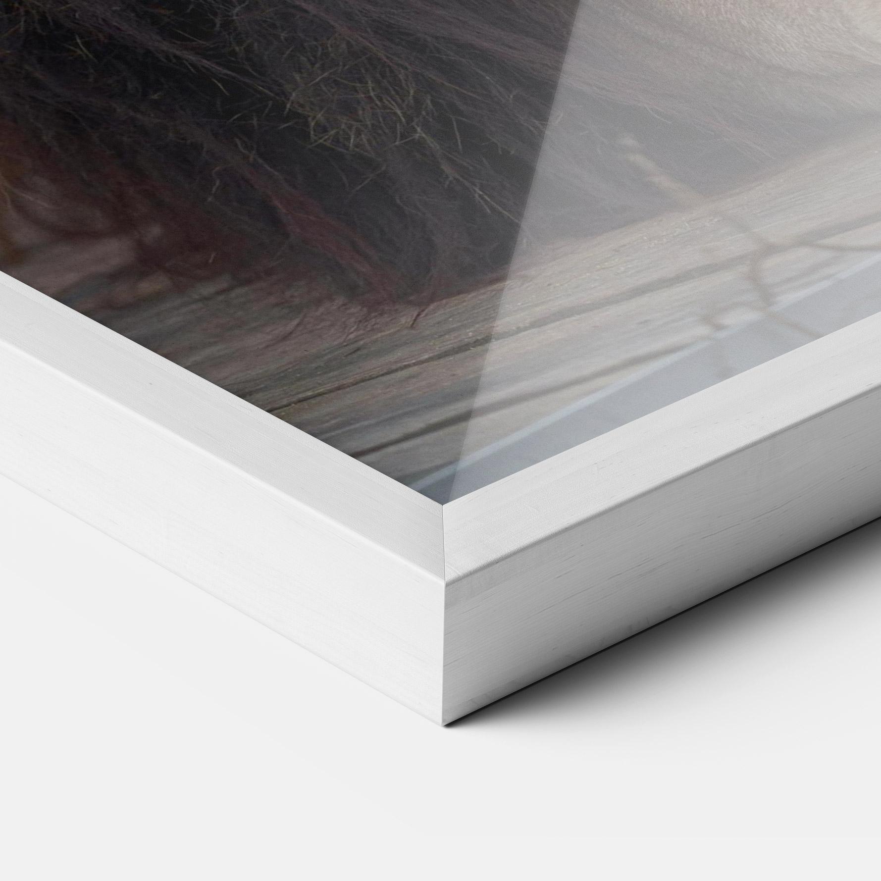 Keretezett Poszter Lion Chilling mockup 3