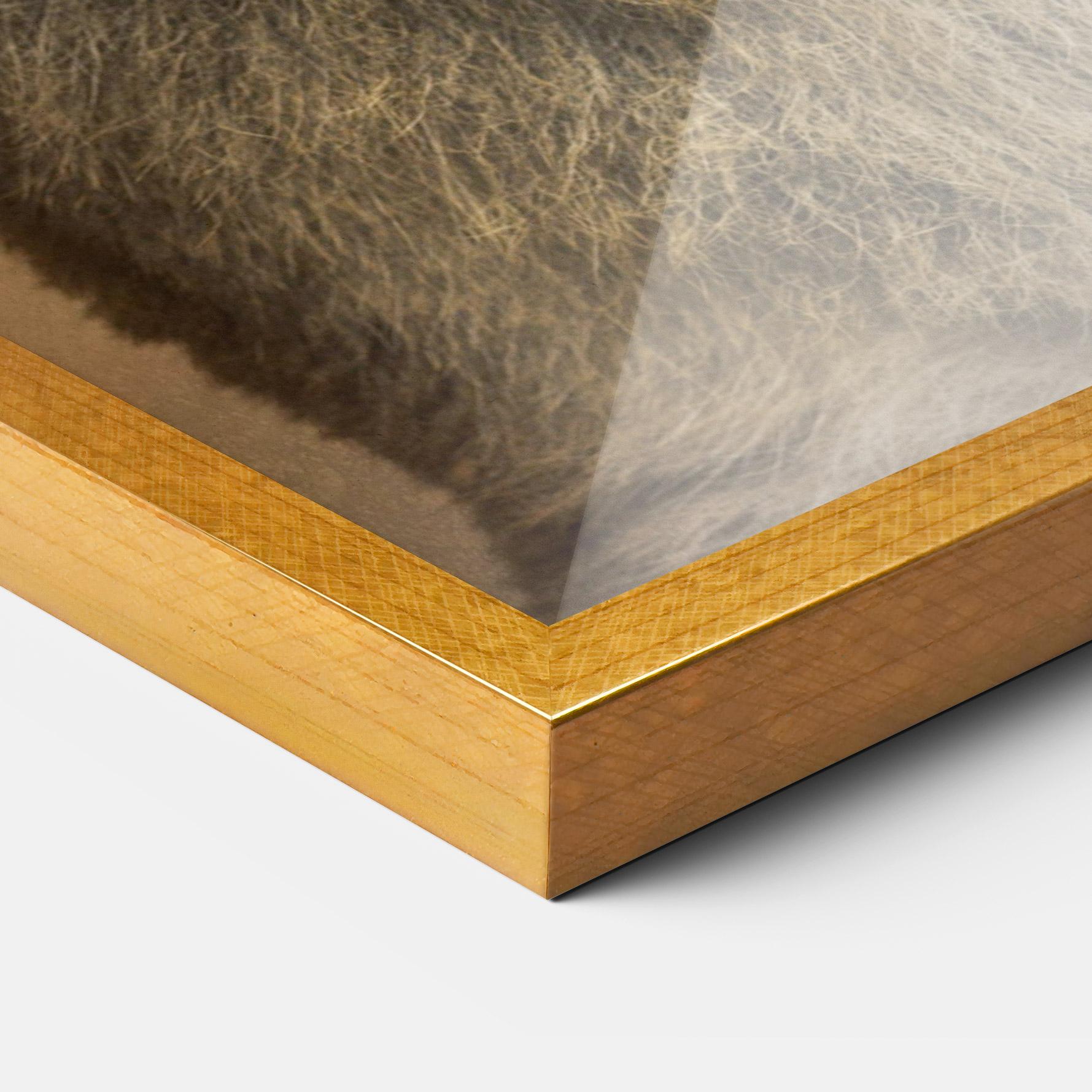 Keretezett Poszter Baby Lion mockup 3