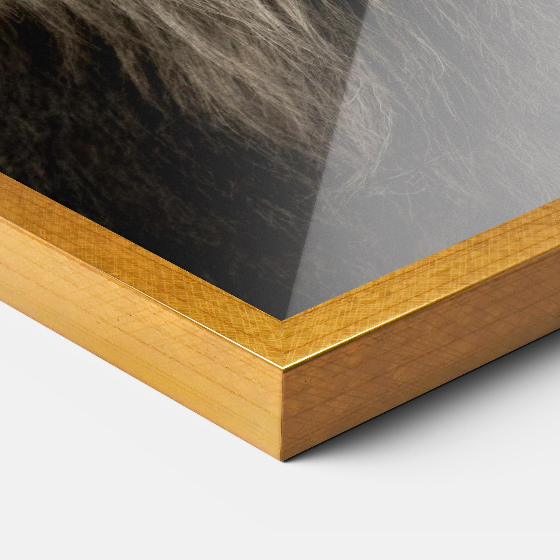 Keretezett Poszter Lion Close Up mockup 3