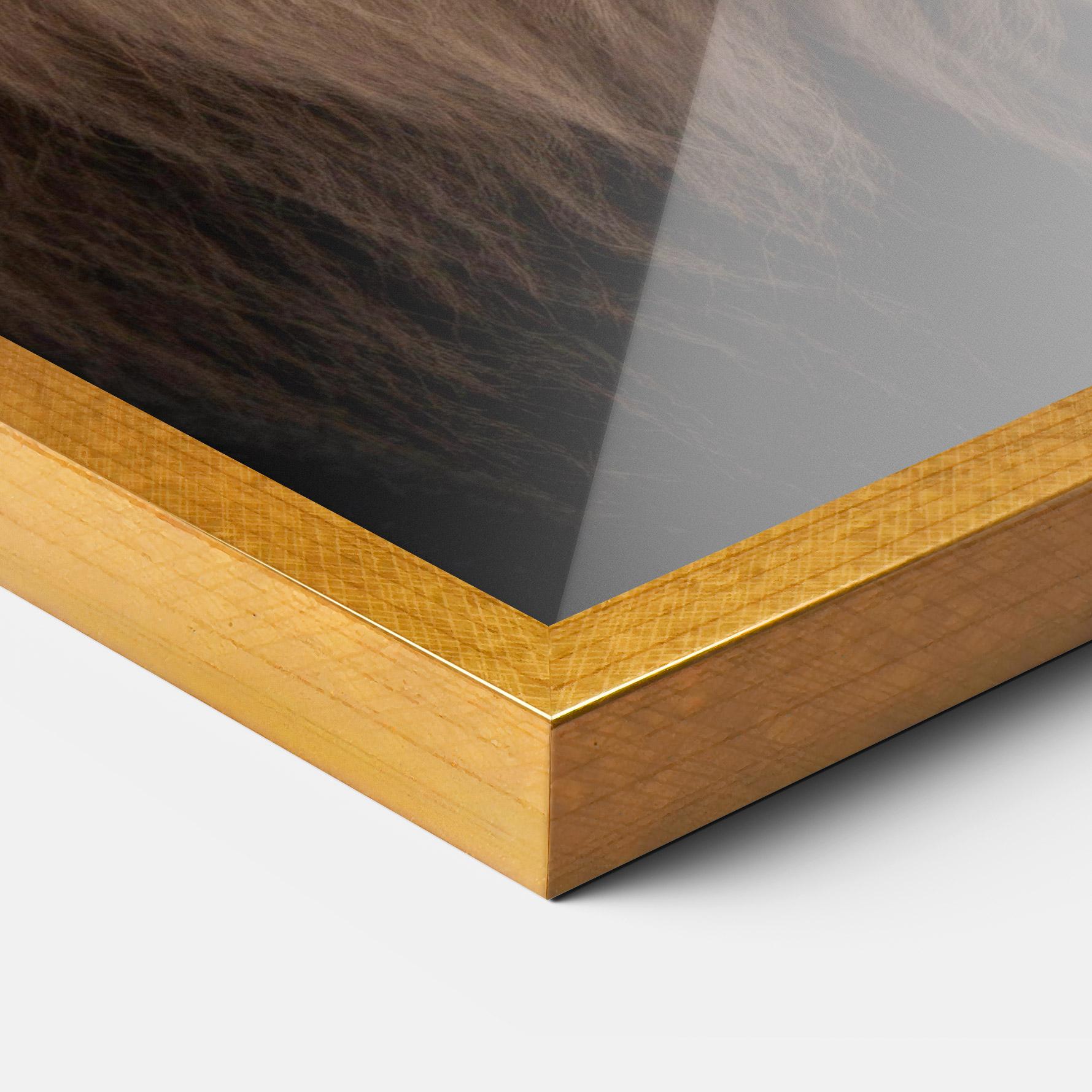 Keretezett Poszter Wild Lion View mockup 3