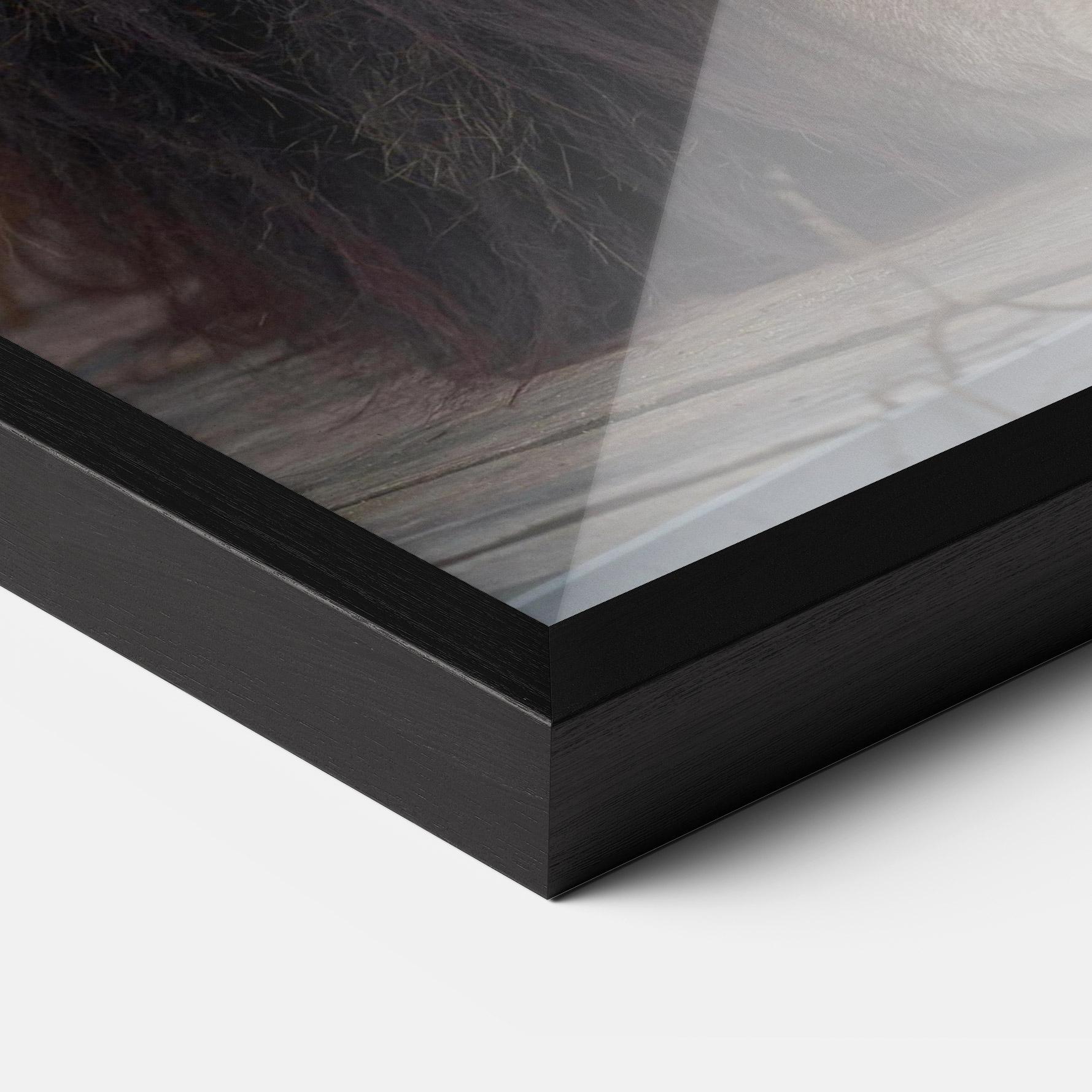 Keretezett Poszter Lion Chilling mockup 3