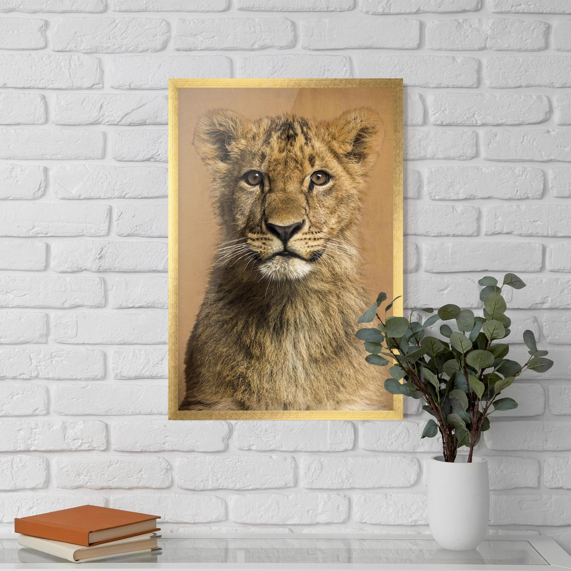 Keretezett Poszter Baby Lion mockup 5