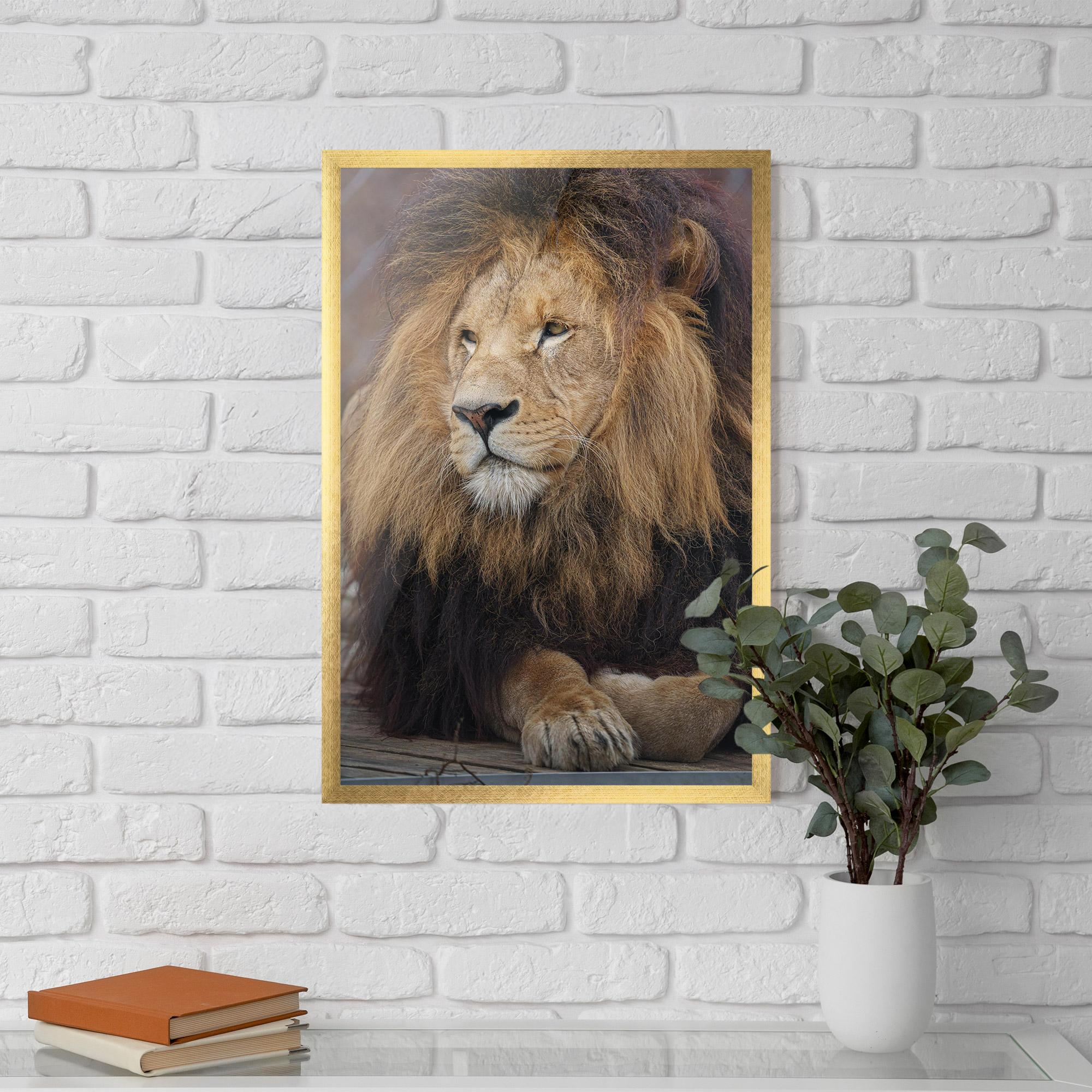 Keretezett Poszter Lion Chilling mockup 5