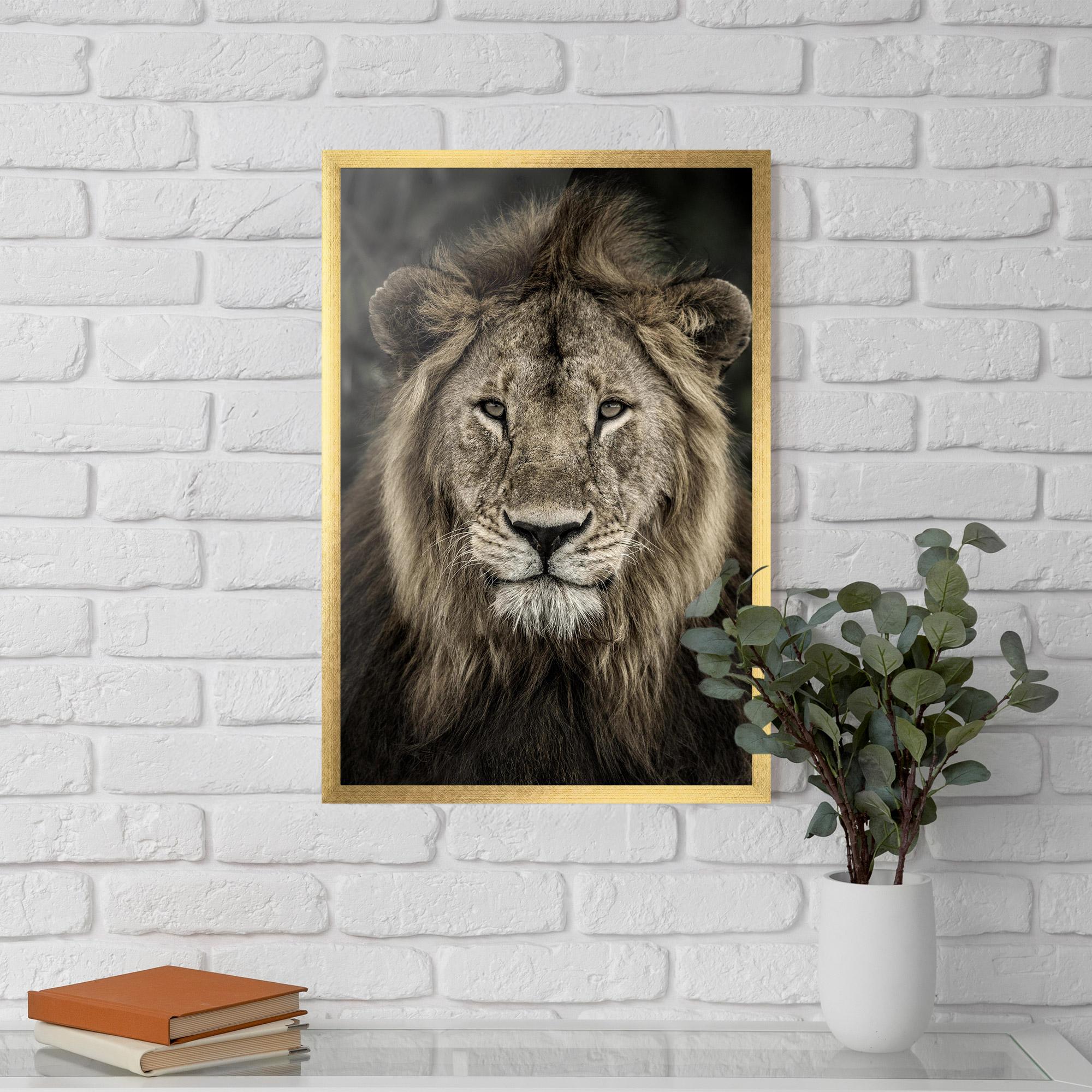 Keretezett Poszter Lion Close Up mockup 5