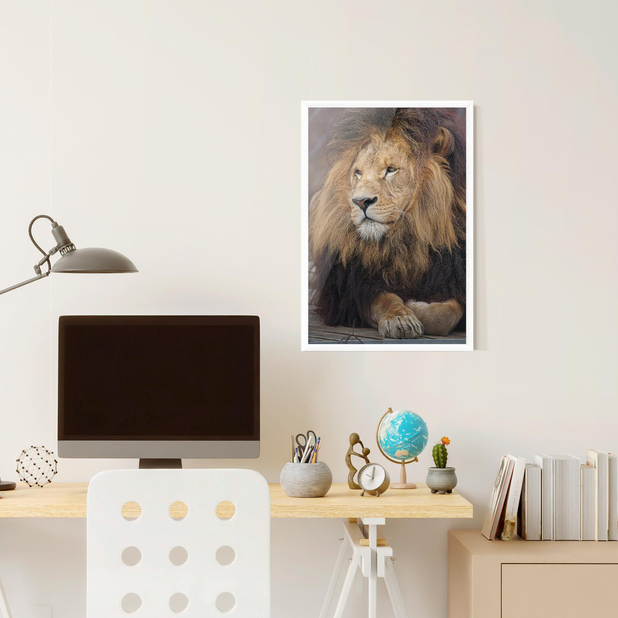 Keretezett Poszter Lion Chilling mockup 6
