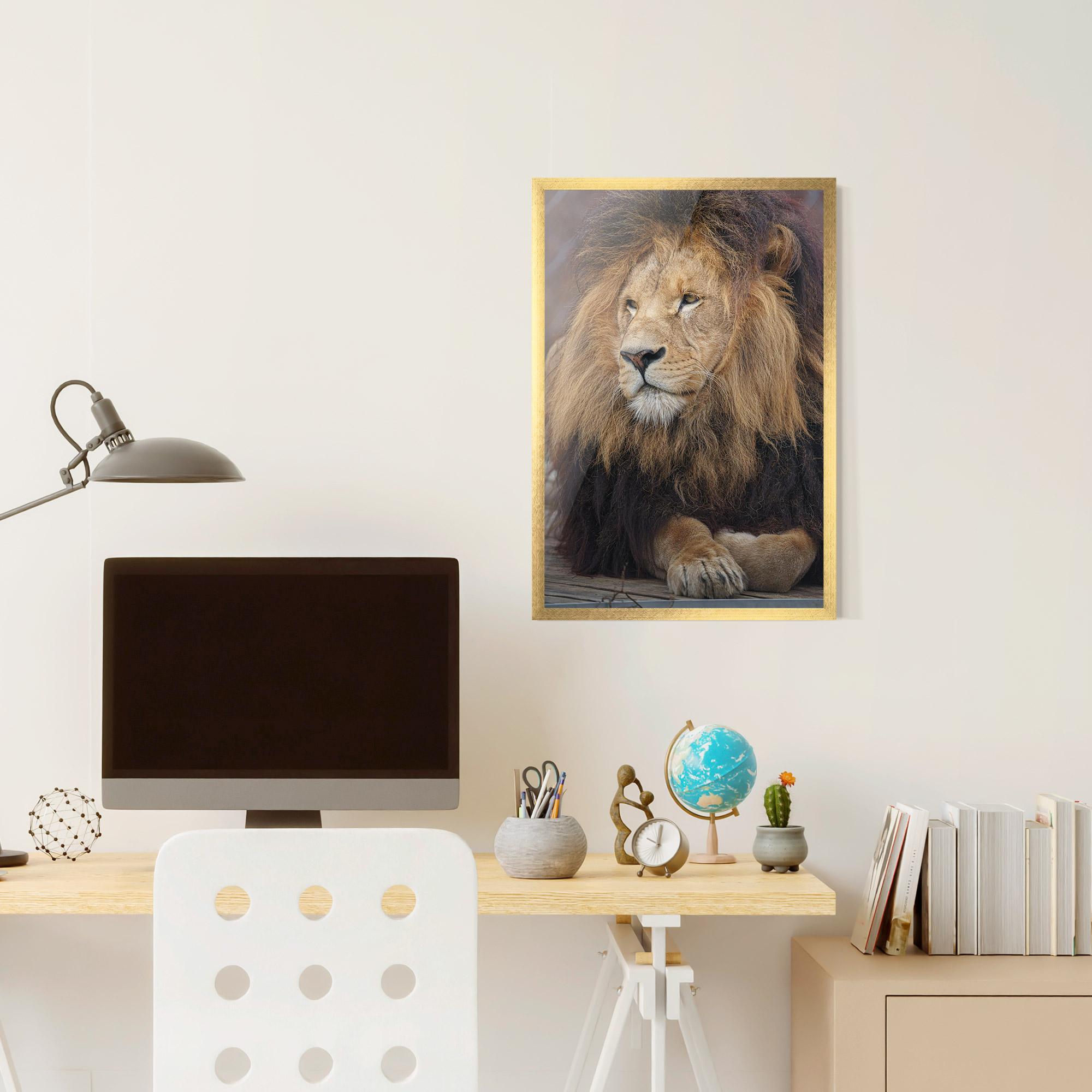 Keretezett Poszter Lion Chilling mockup 6