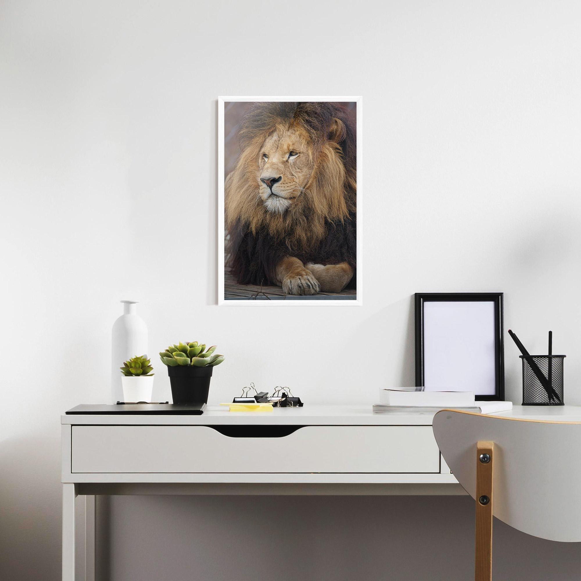 Keretezett Poszter Lion Chilling mockup 7