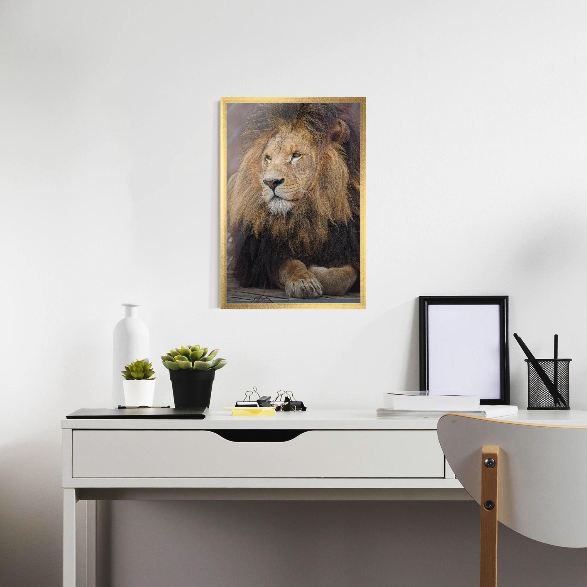 Keretezett Poszter Lion Chilling mockup 7