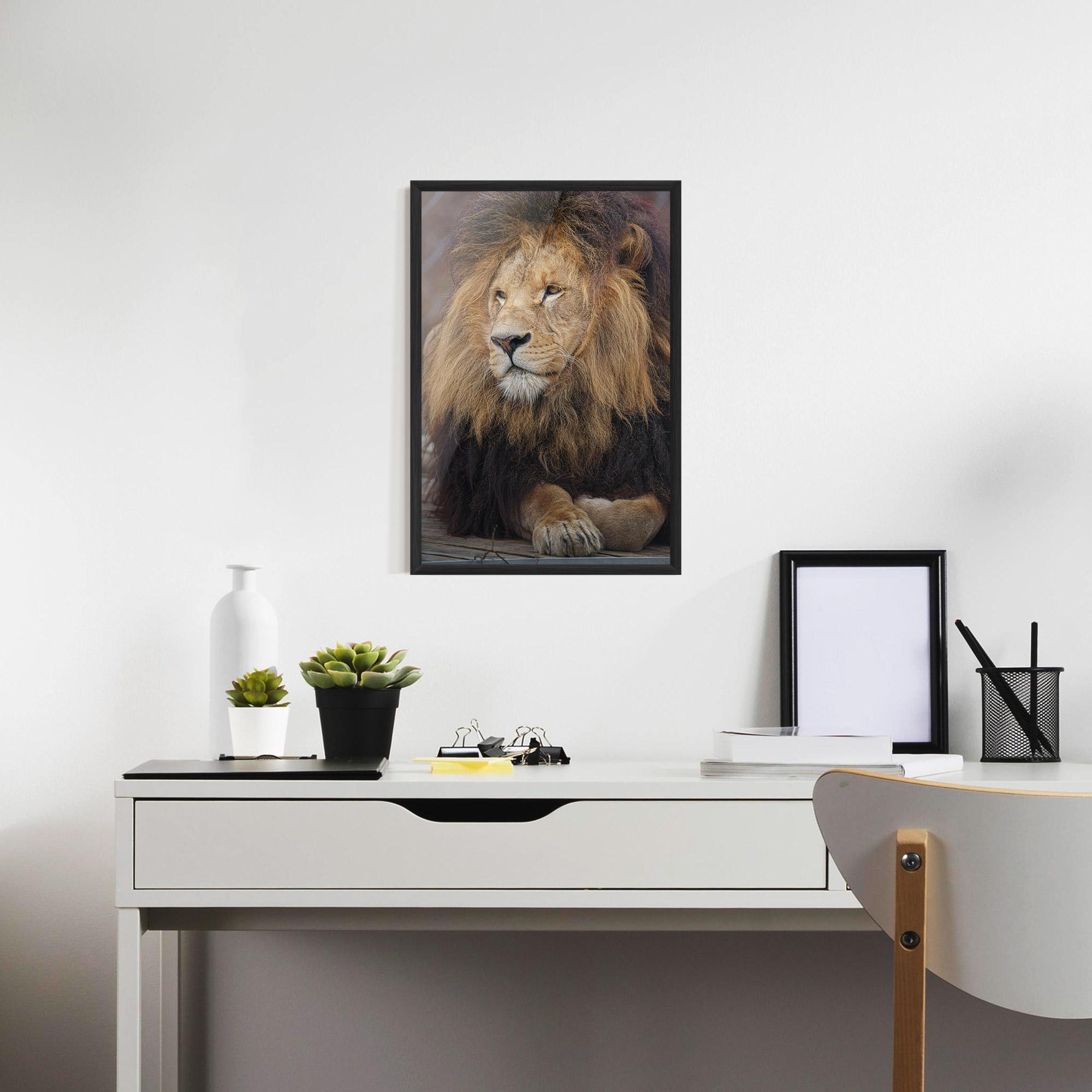 Keretezett Poszter Lion Chilling mockup 7