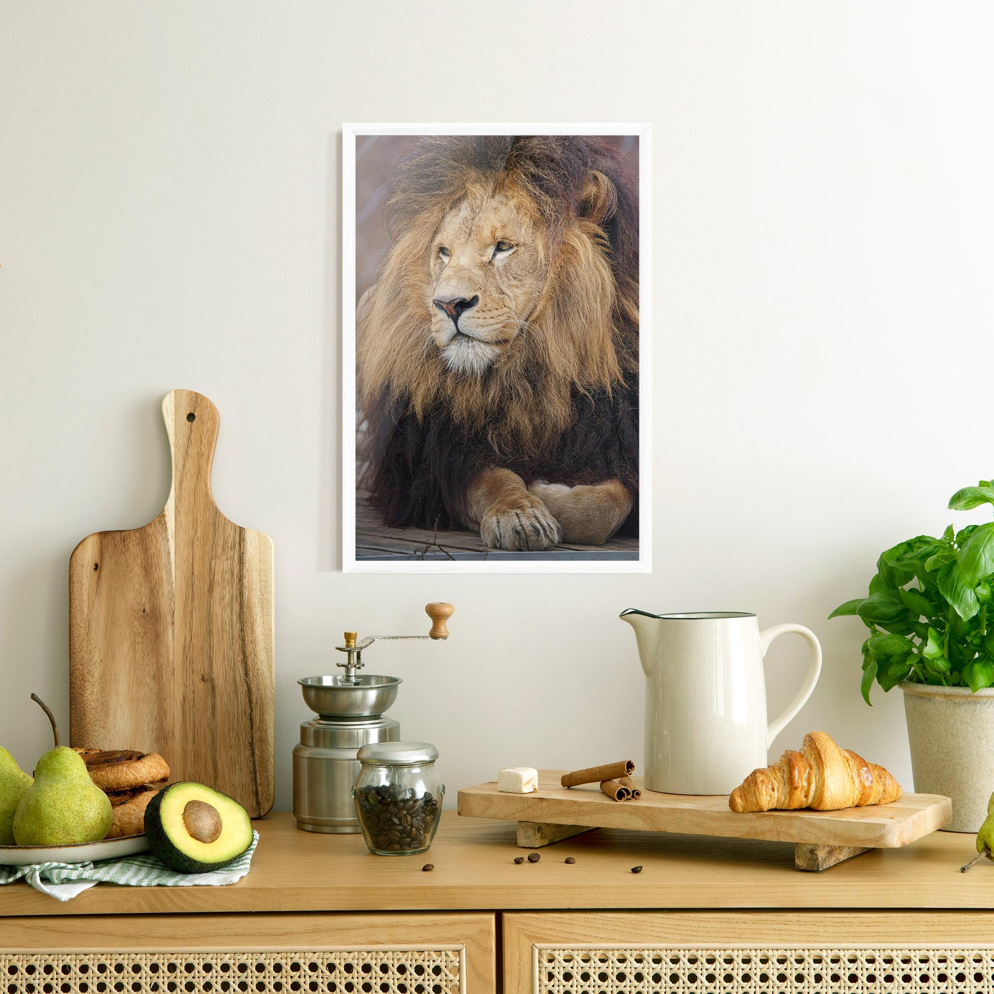 Keretezett Poszter Lion Chilling mockup 8