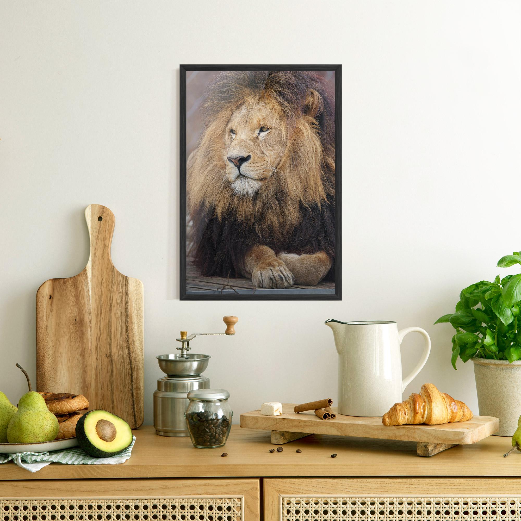 Keretezett Poszter Lion Chilling mockup 8