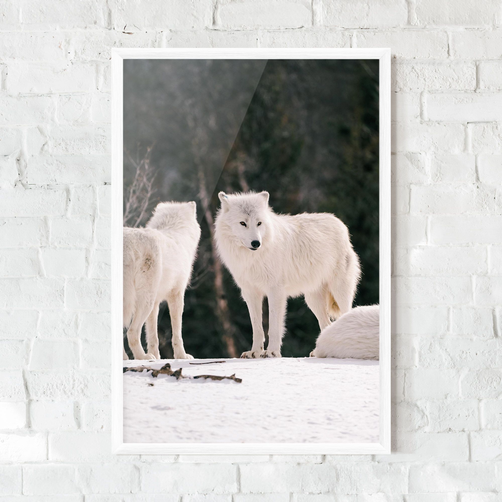 White Wolf Waiting mockup 0
