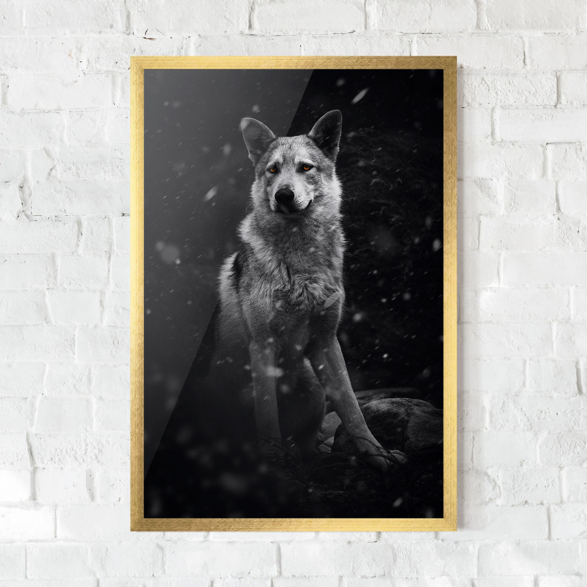 Keretezett Poszter Sitting Wolf mockup 0