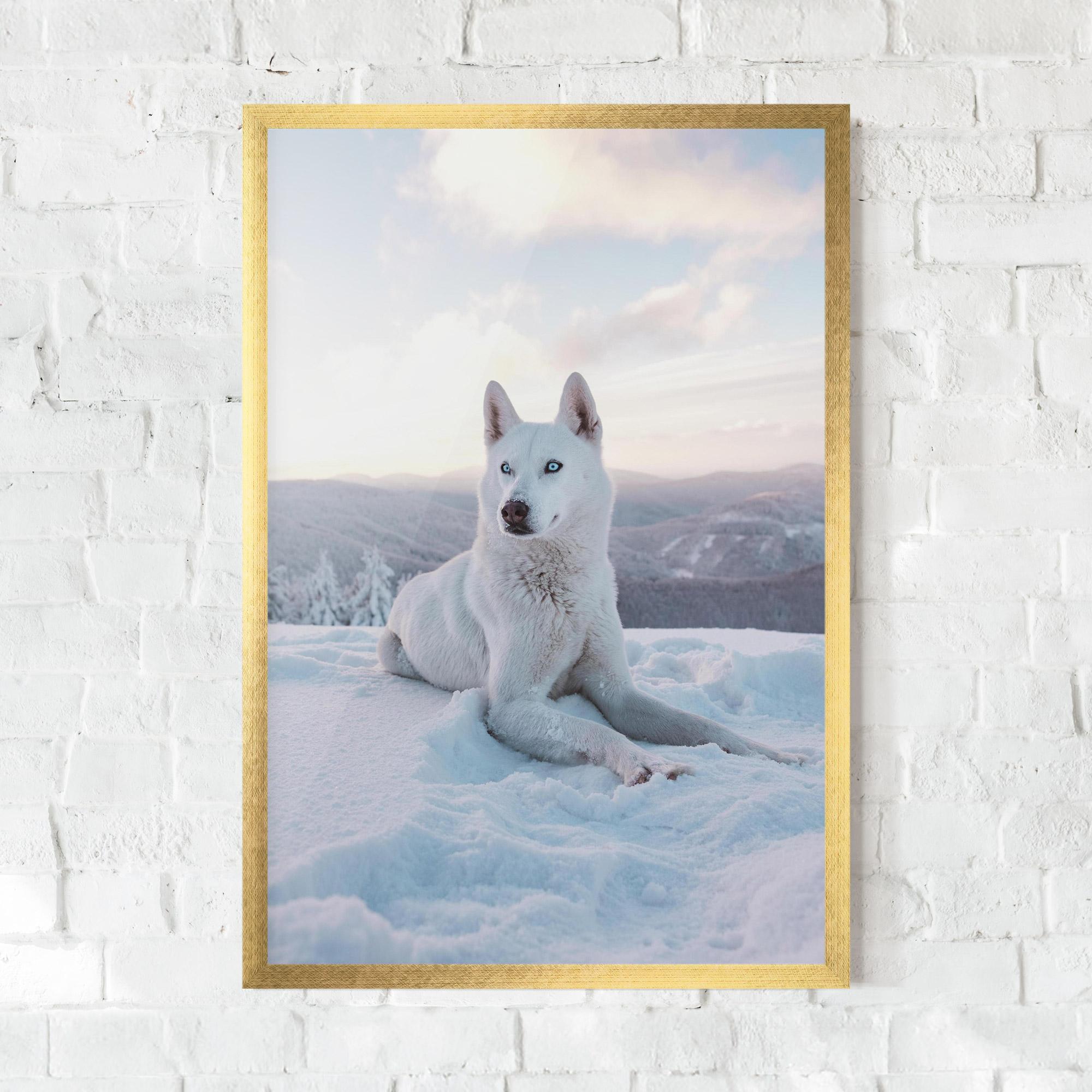 Keretezett Poszter White Snow Wolf mockup 0