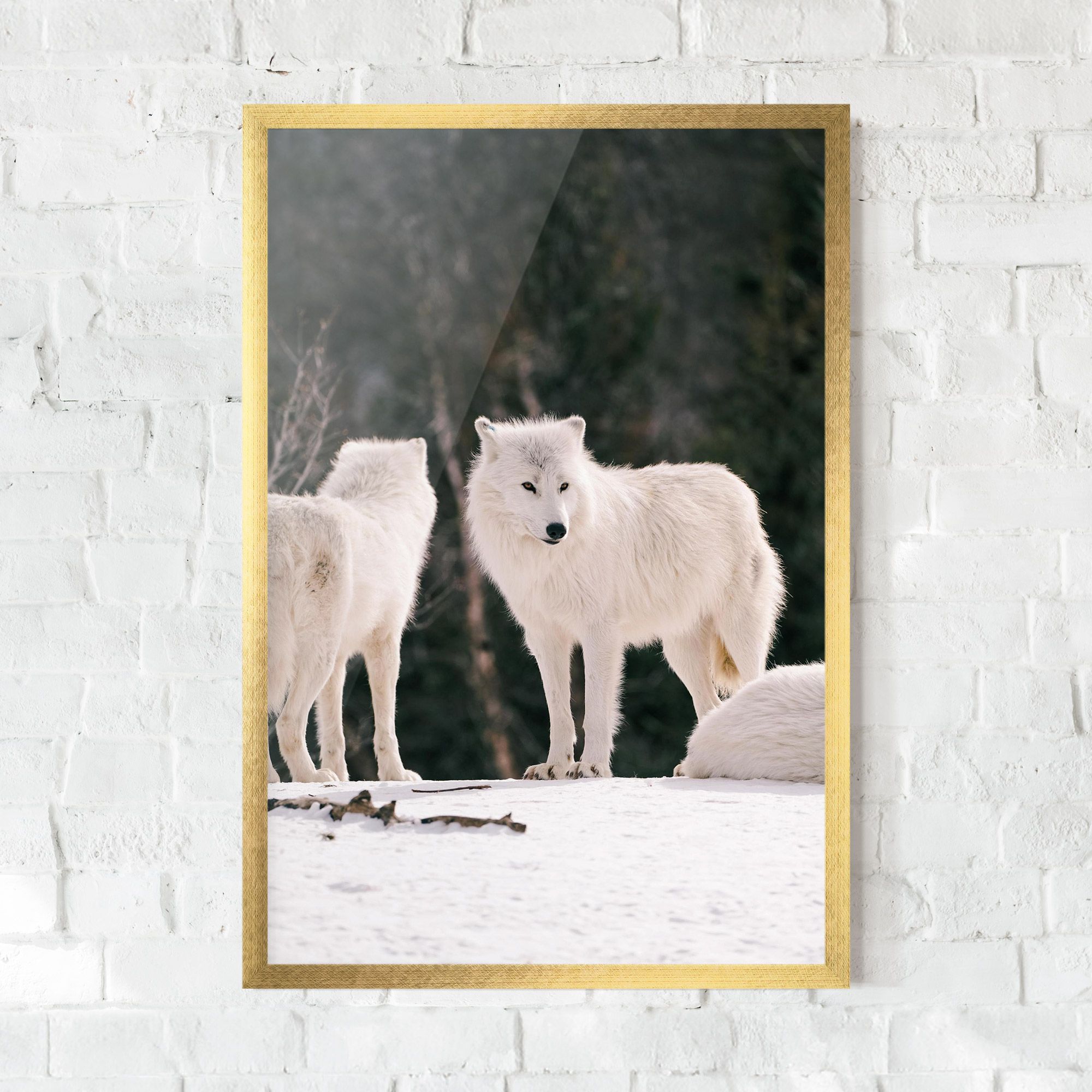 White Wolf Waiting mockup 0
