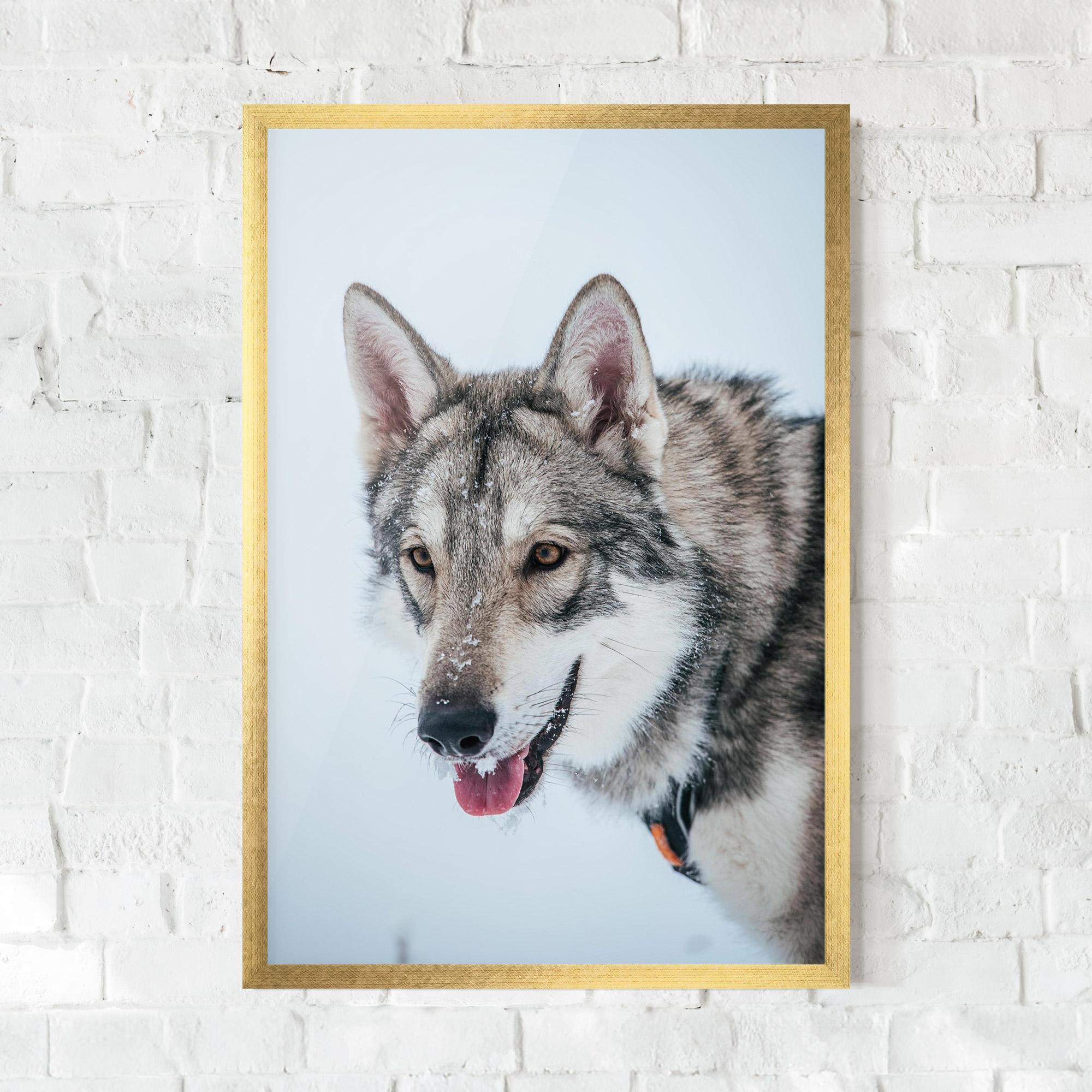 Keretezett Poszter Wolf Head mockup 0