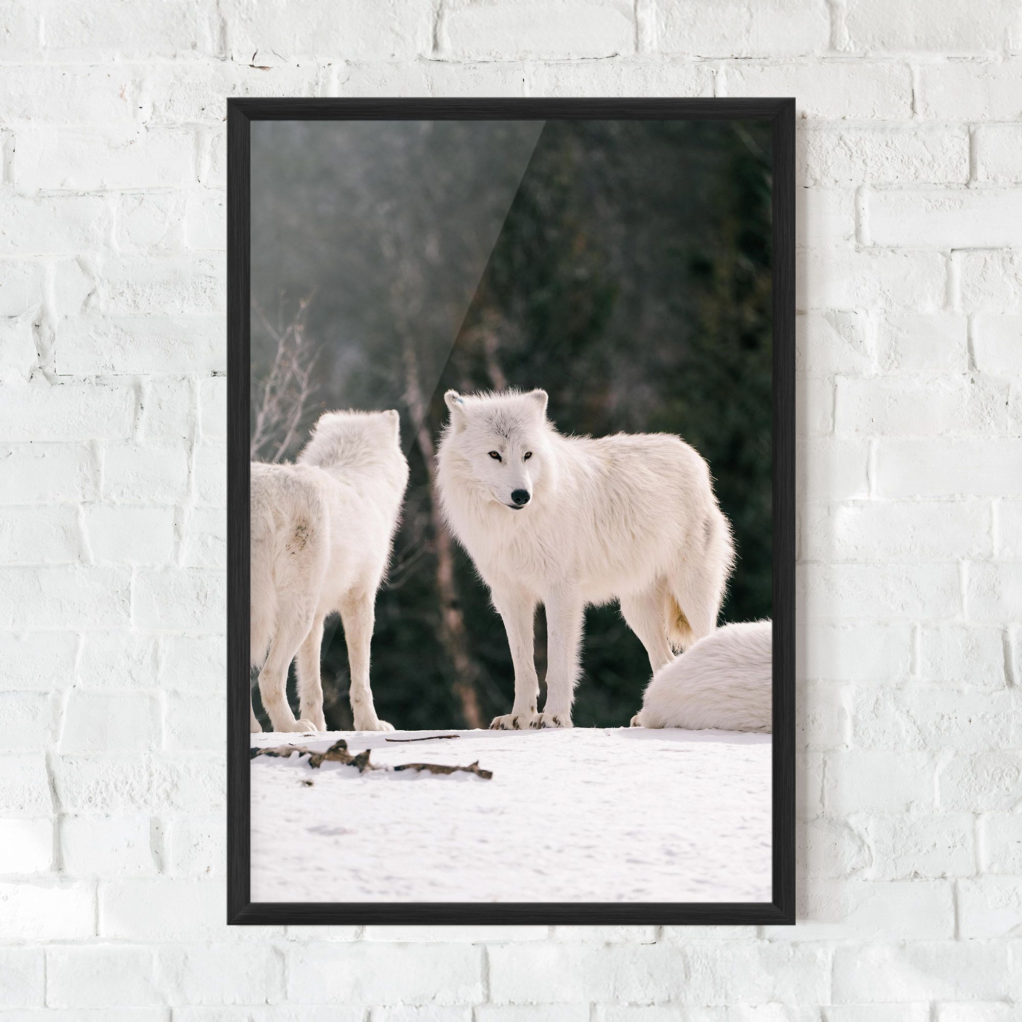 White Wolf Waiting mockup 0