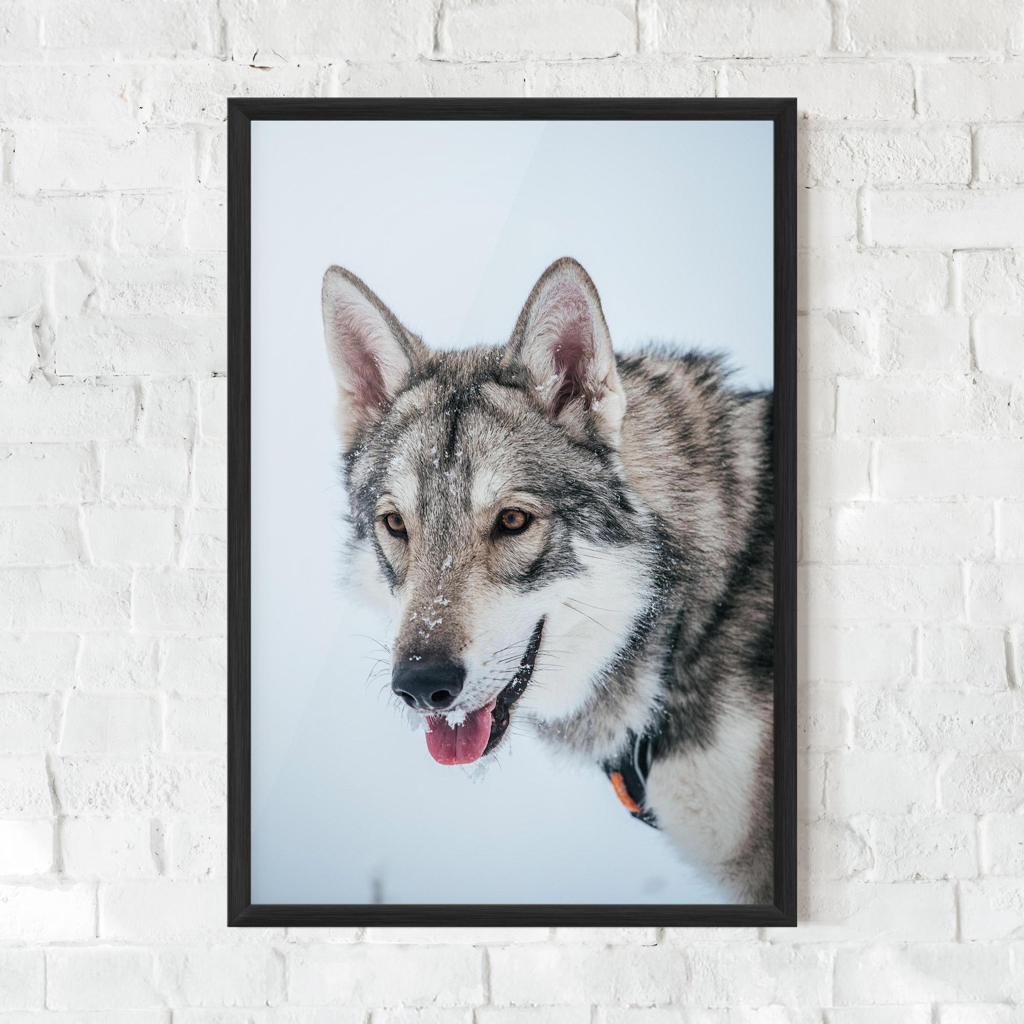 Keretezett Poszter Wolf Head mockup 0