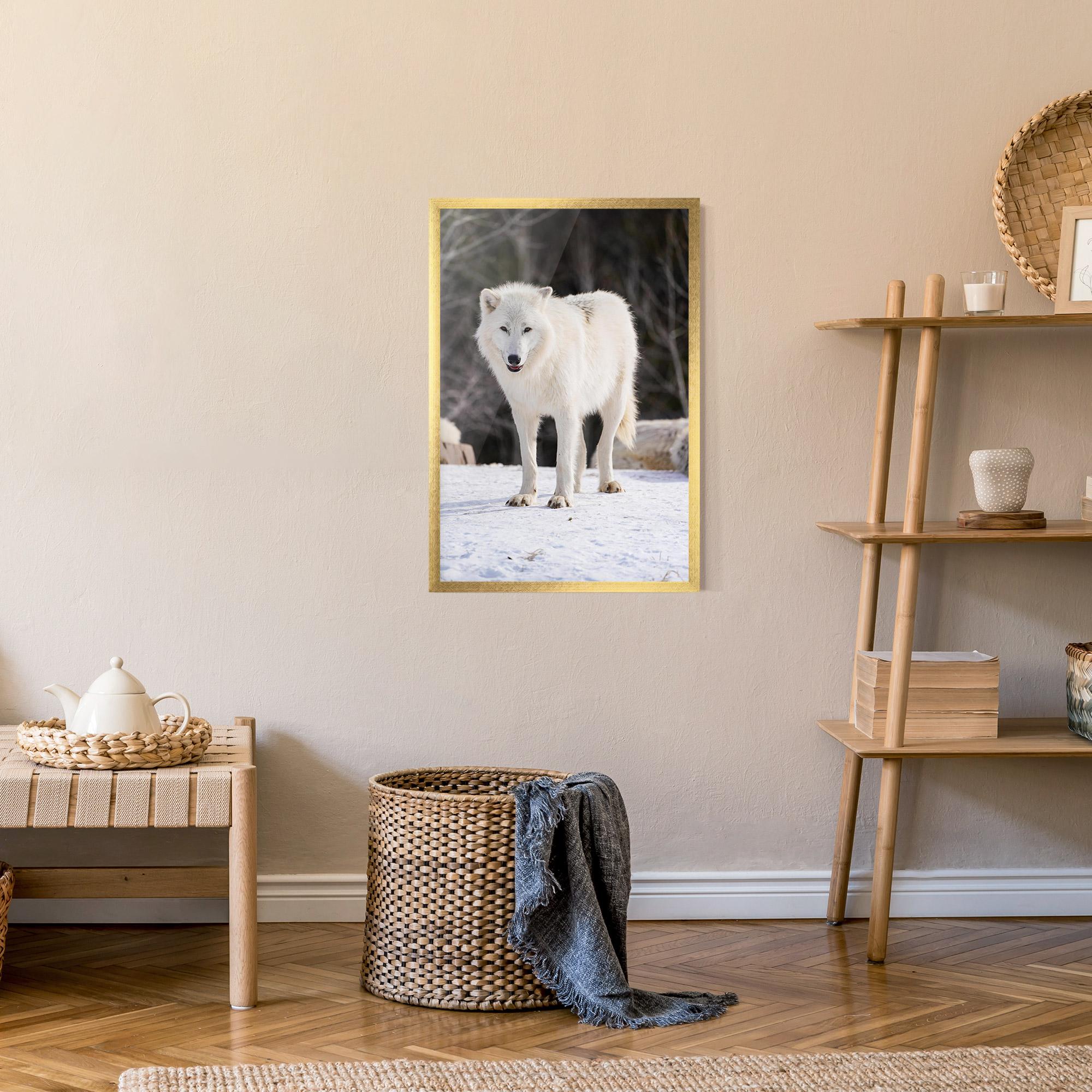 Keretezett Poszter Beautiful White Wolf mockup 9