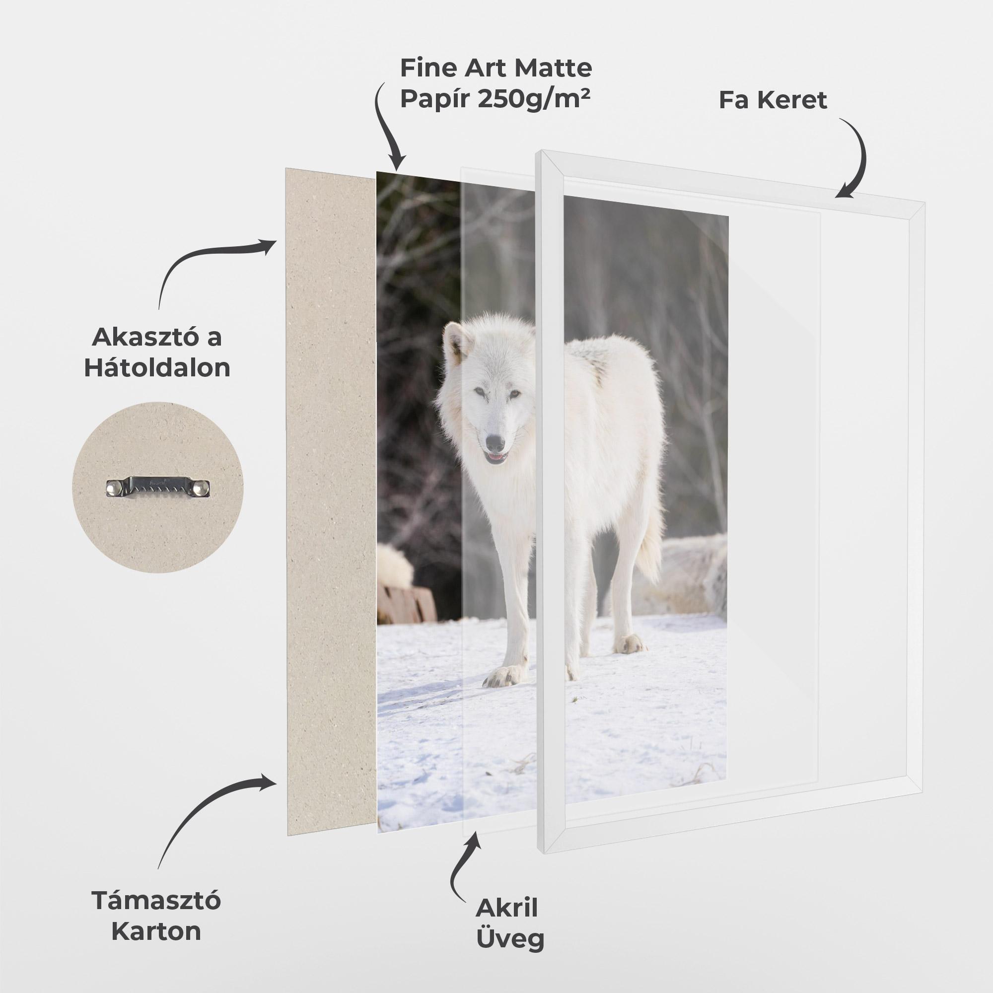 Keretezett Poszter Beautiful White Wolf mockup 1