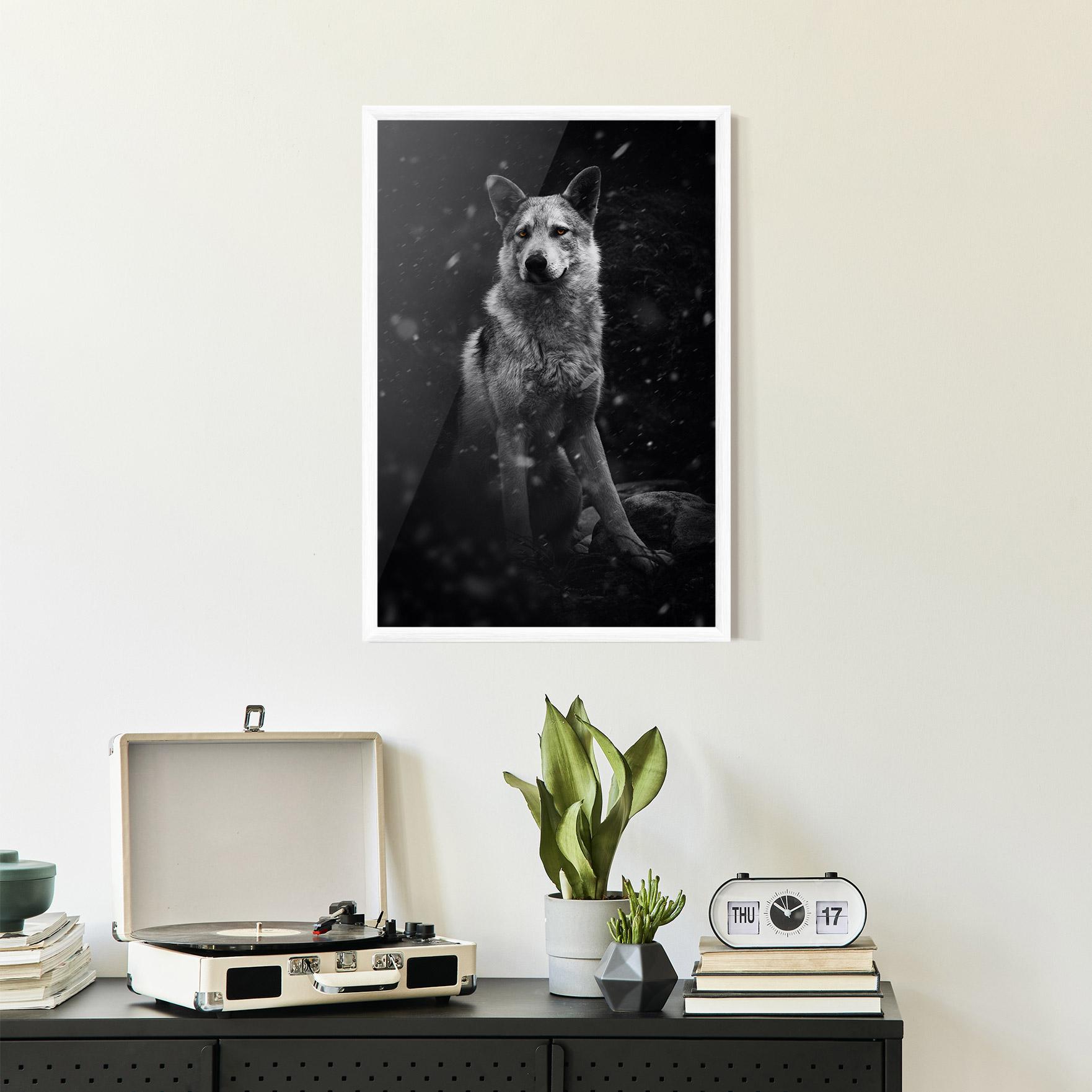 Keretezett Poszter Sitting Wolf mockup 2