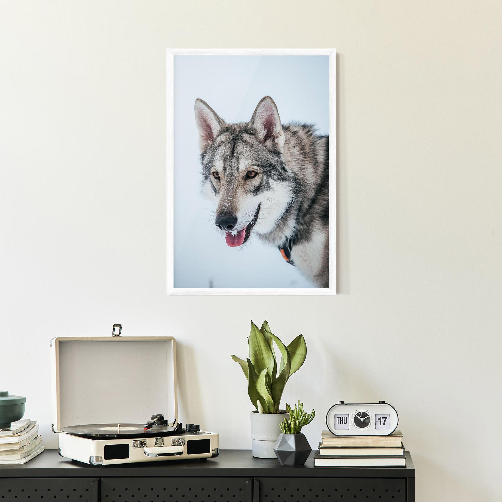 Keretezett Poszter Wolf Head mockup 2