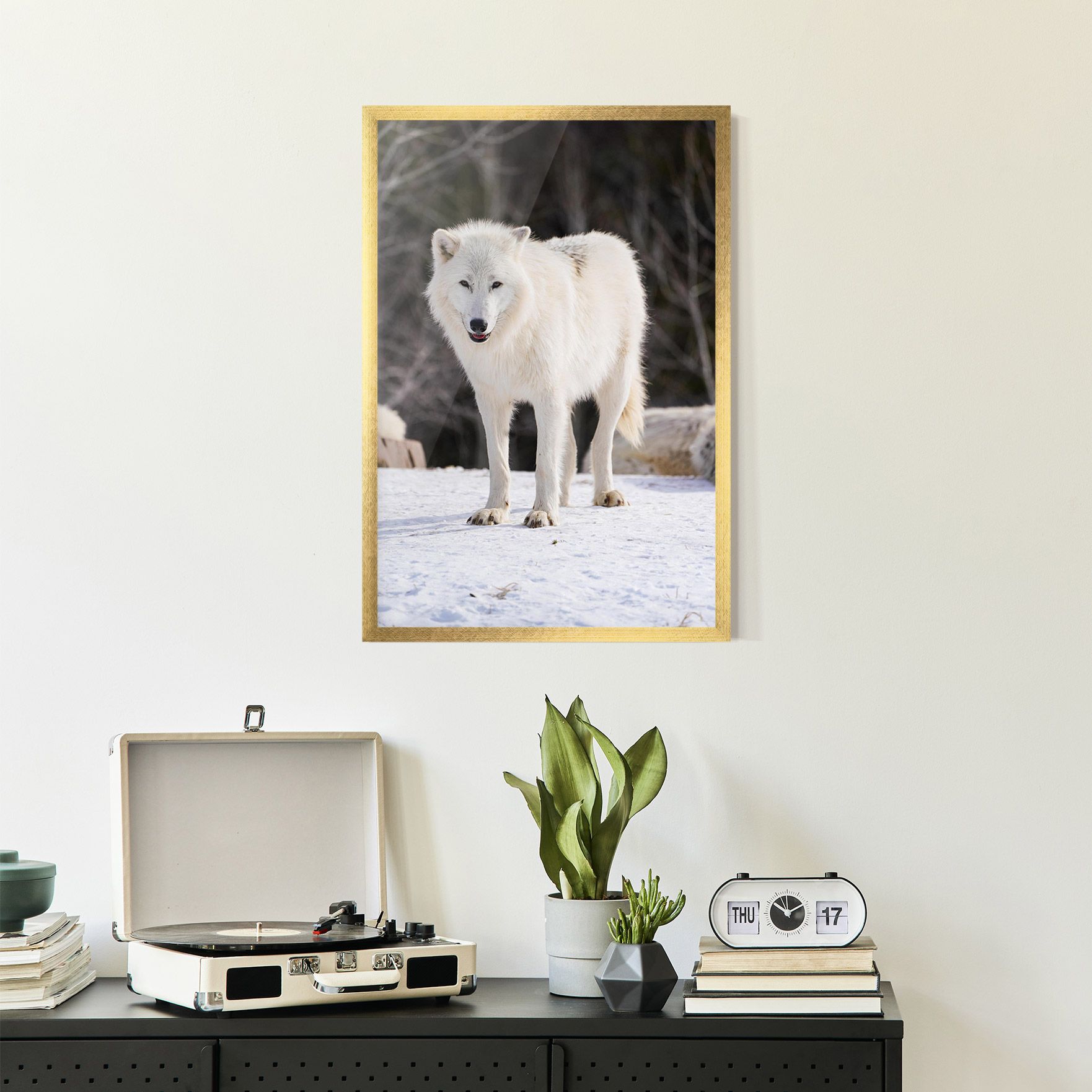 Beautiful White Wolf mockup 2