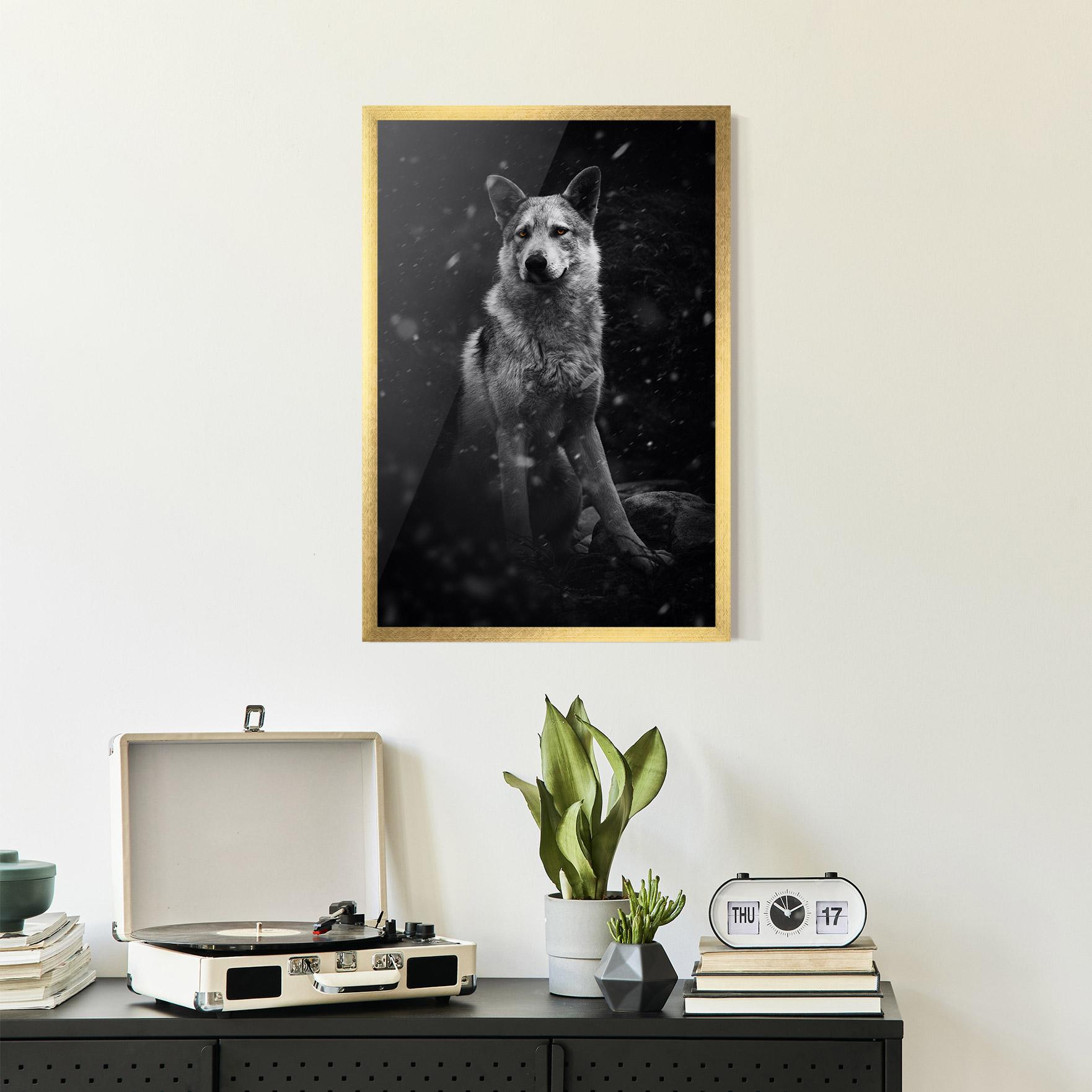 Keretezett Poszter Sitting Wolf mockup 2