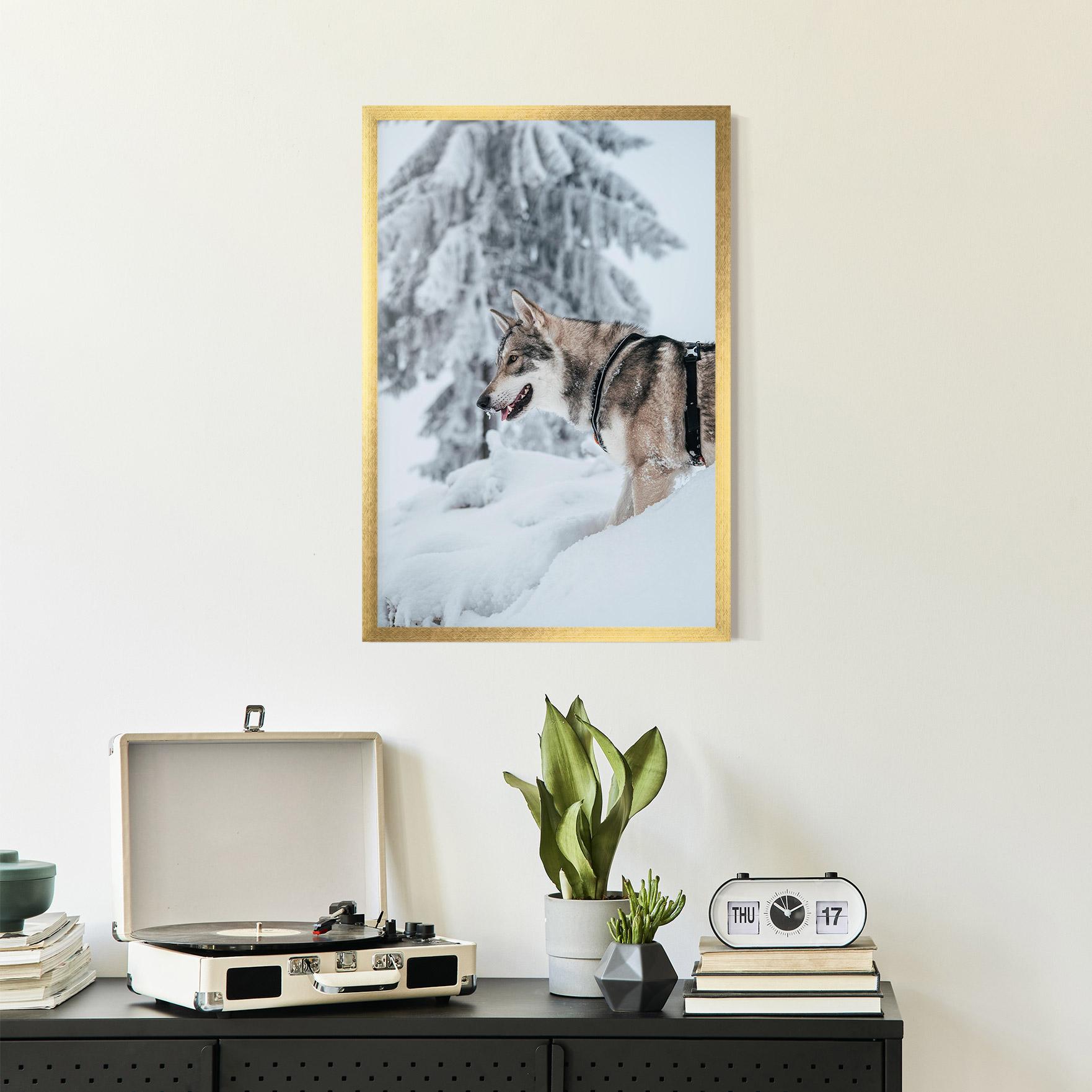 Keretezett Poszter Snow Wolf mockup 2