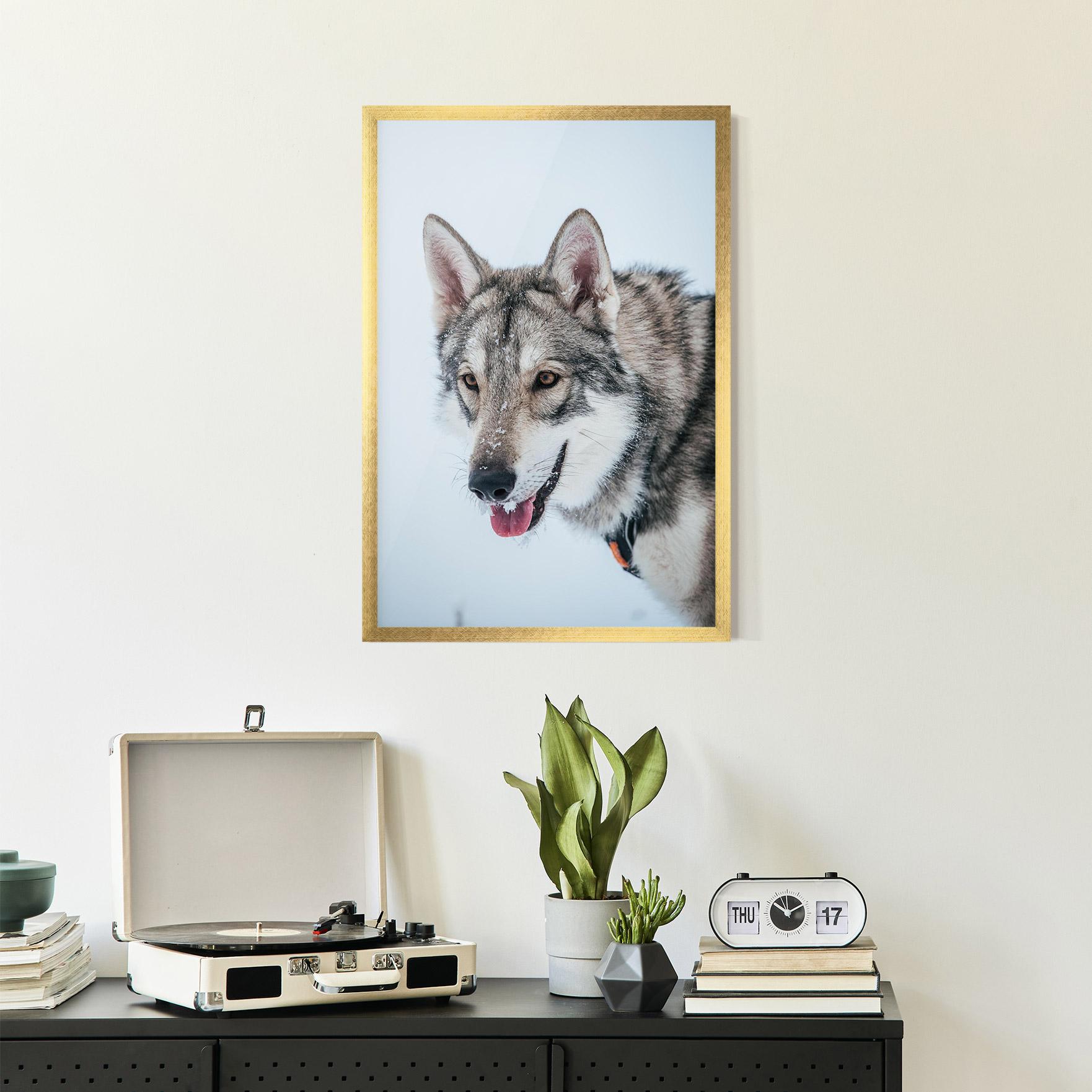 Keretezett Poszter Wolf Head mockup 2
