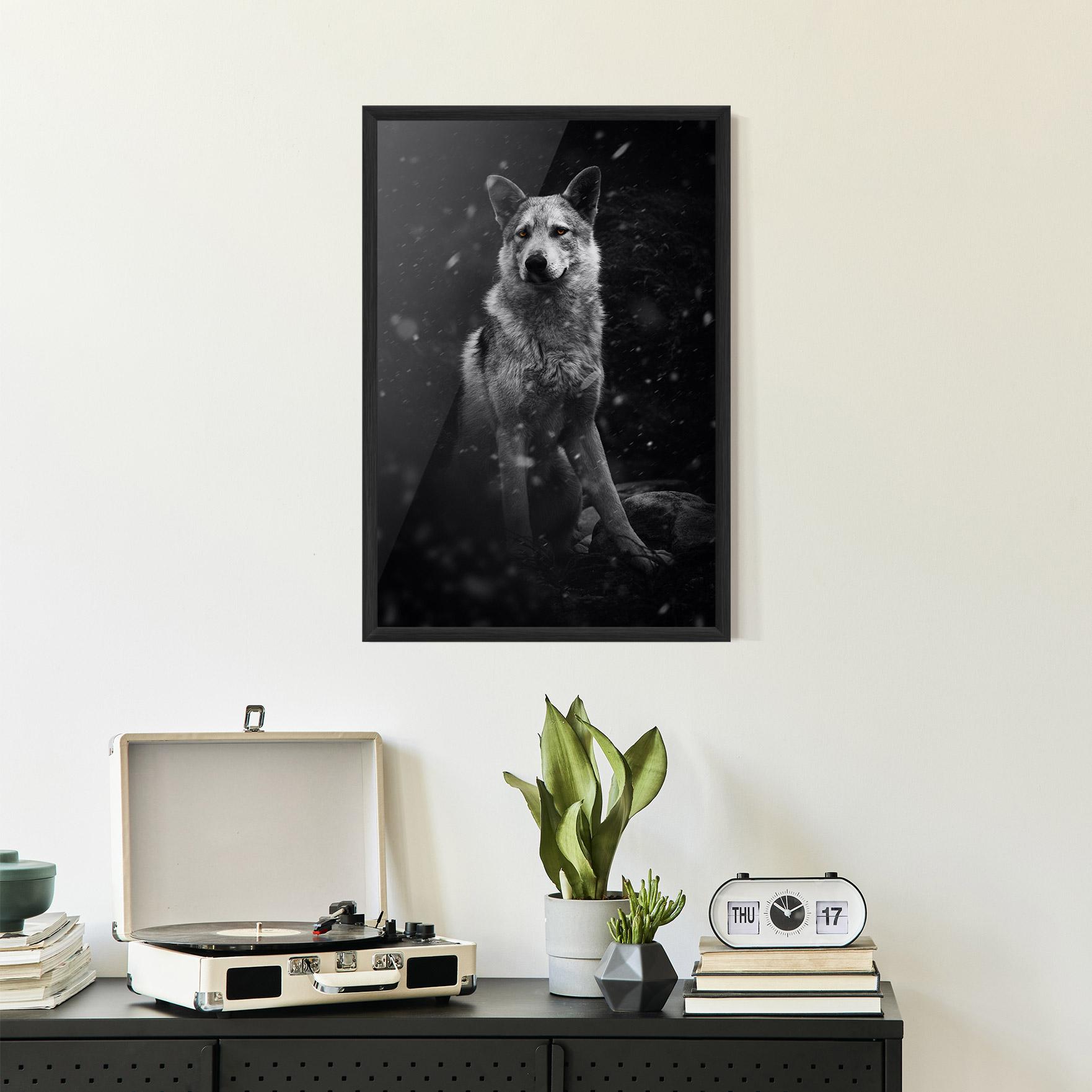 Keretezett Poszter Sitting Wolf mockup 2