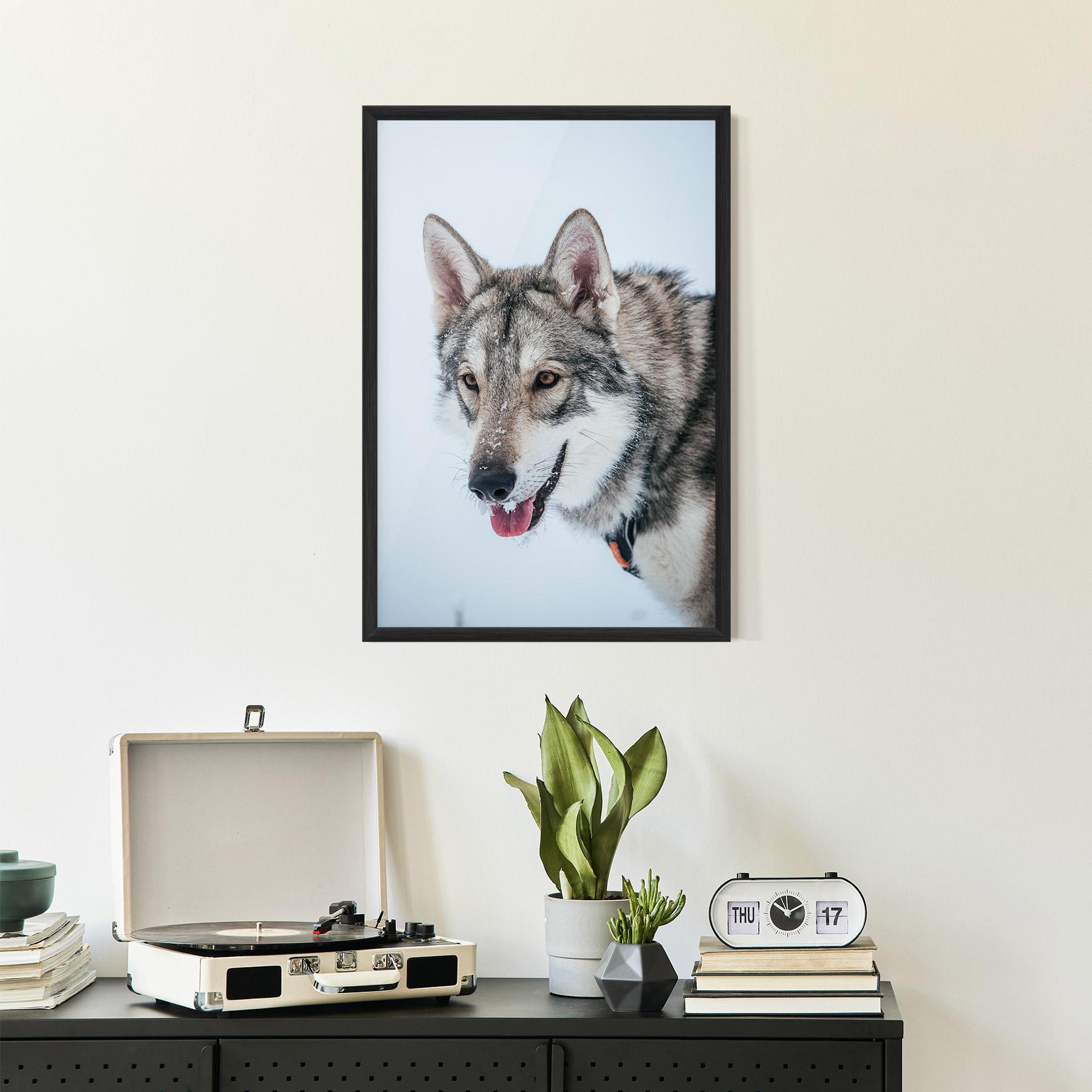 Keretezett Poszter Wolf Head mockup 2