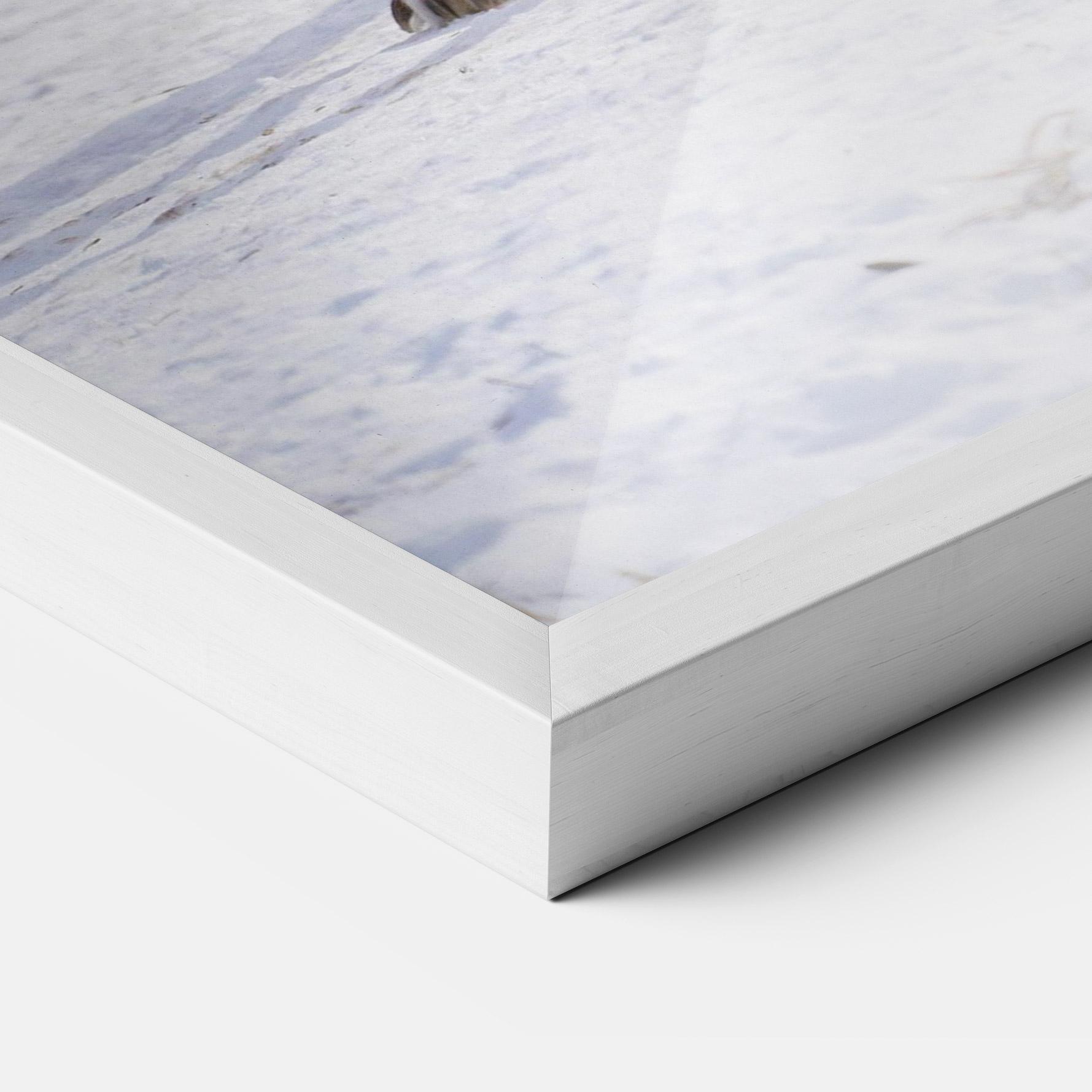 Keretezett Poszter Beautiful White Wolf mockup 3