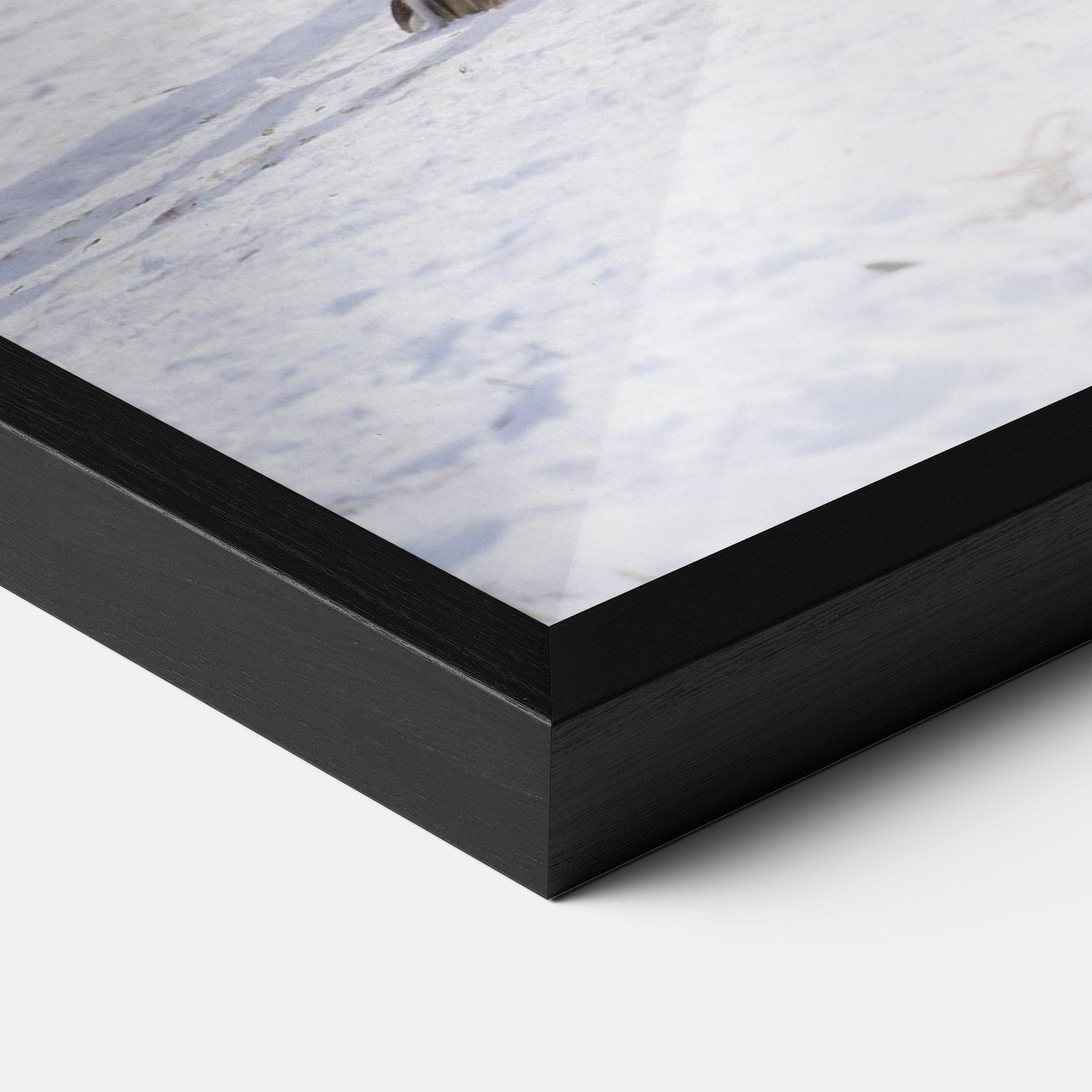 Keretezett Poszter Beautiful White Wolf mockup 3