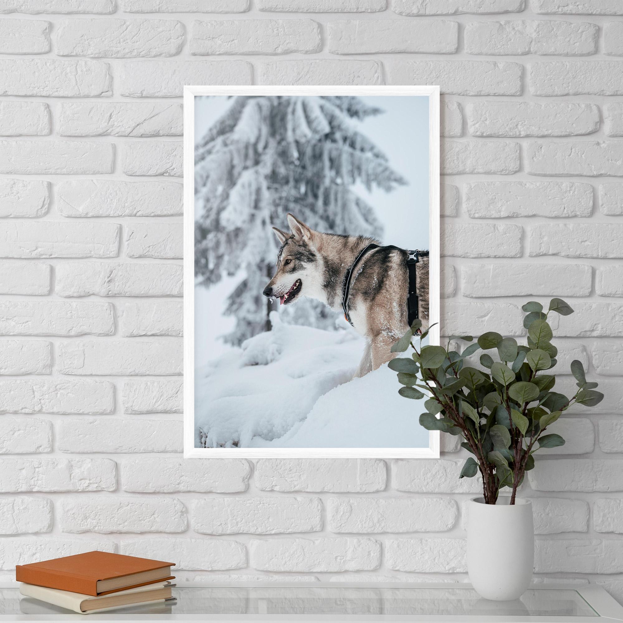 Keretezett Poszter Snow Wolf mockup 5