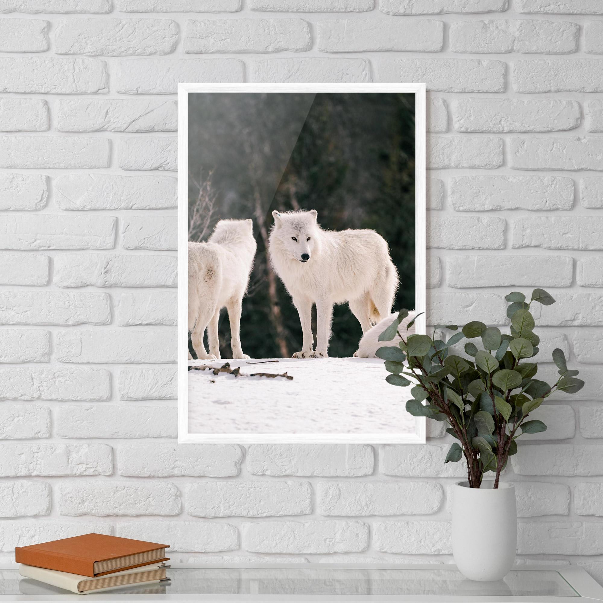 Keretezett Poszter White Wolf Waiting mockup 5