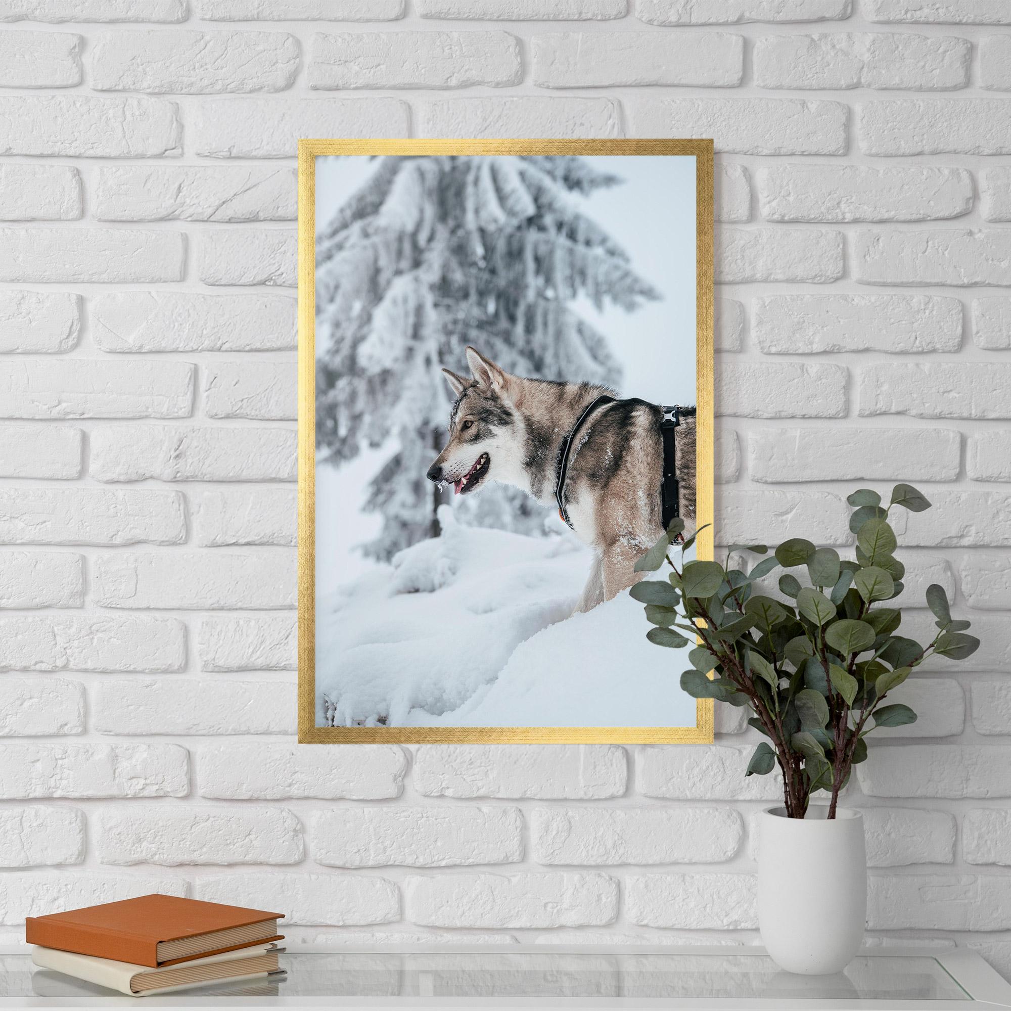 Keretezett Poszter Snow Wolf mockup 5